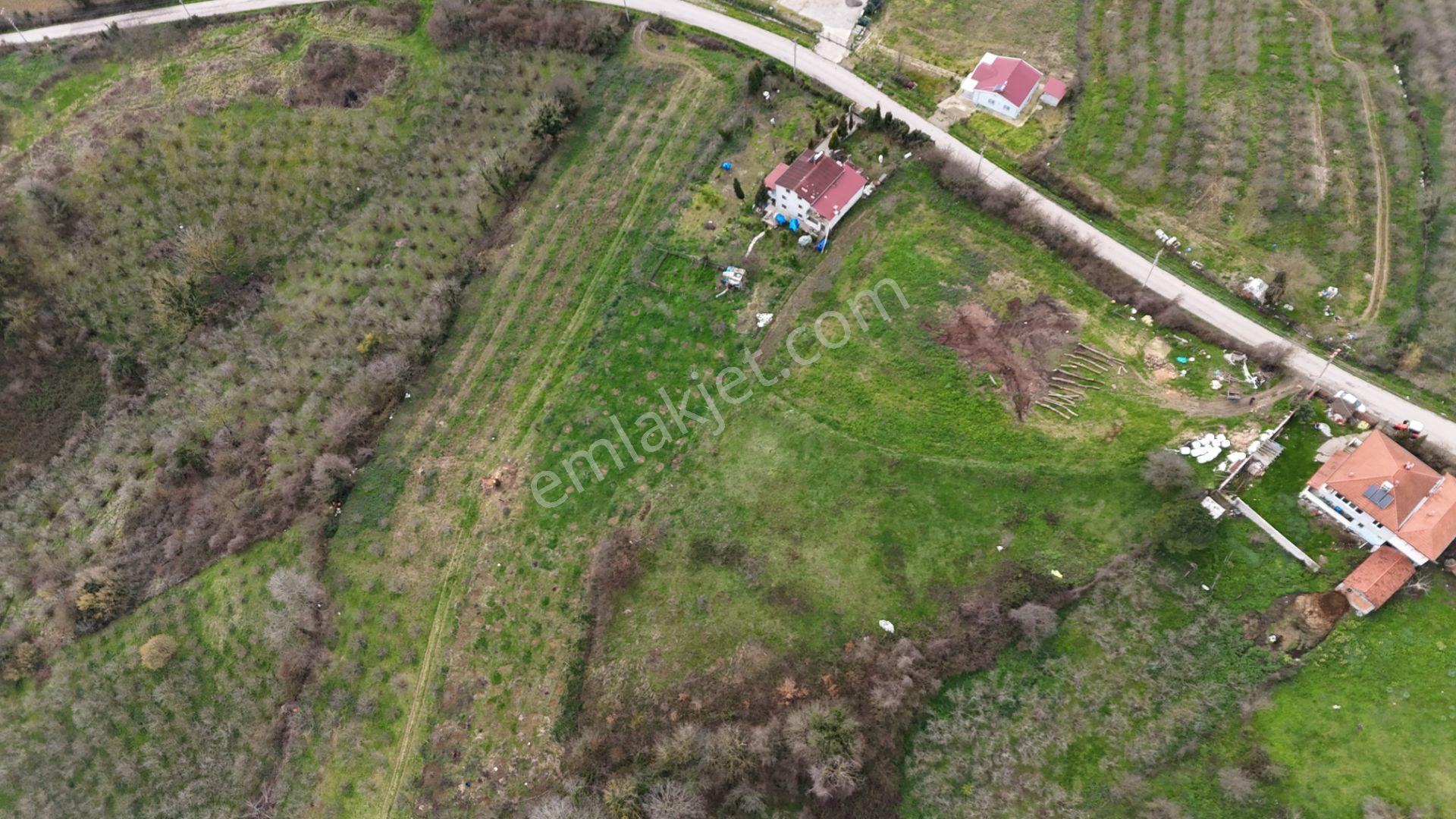 Re/max Mavi'den %40 İki Katresmi İmarlı Arsa - Görsel 22
