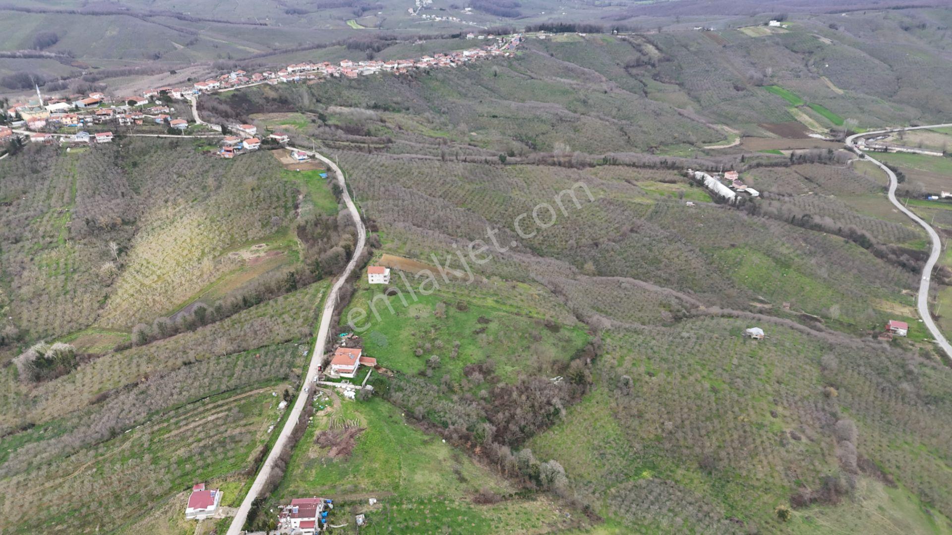 Re/max Mavi'den %40 İki Katresmi İmarlı Arsa - Görsel 13