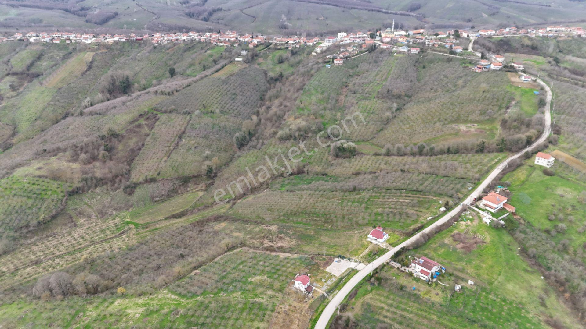Re/max Mavi'den %40 İki Katresmi İmarlı Arsa - Görsel 11