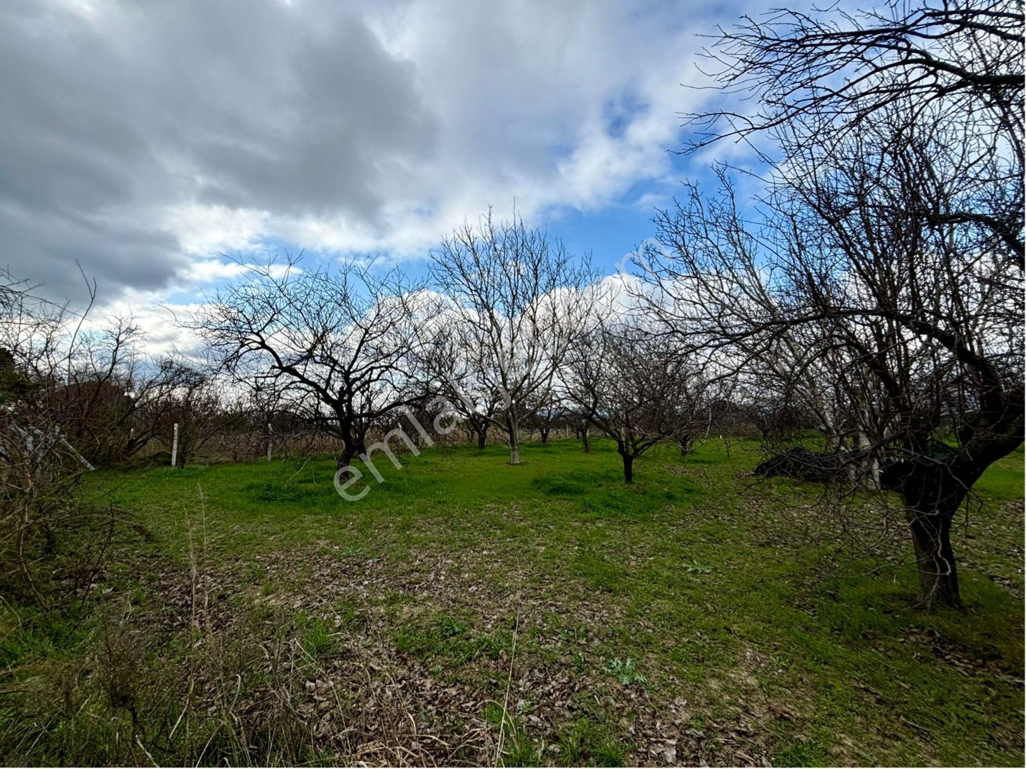 Havran Küçükdere Satılık Tarla ▀▄tek Yetkili Artı Emlak'tan Havran Küçükdere'de Satılık 1794 M2 Tarla