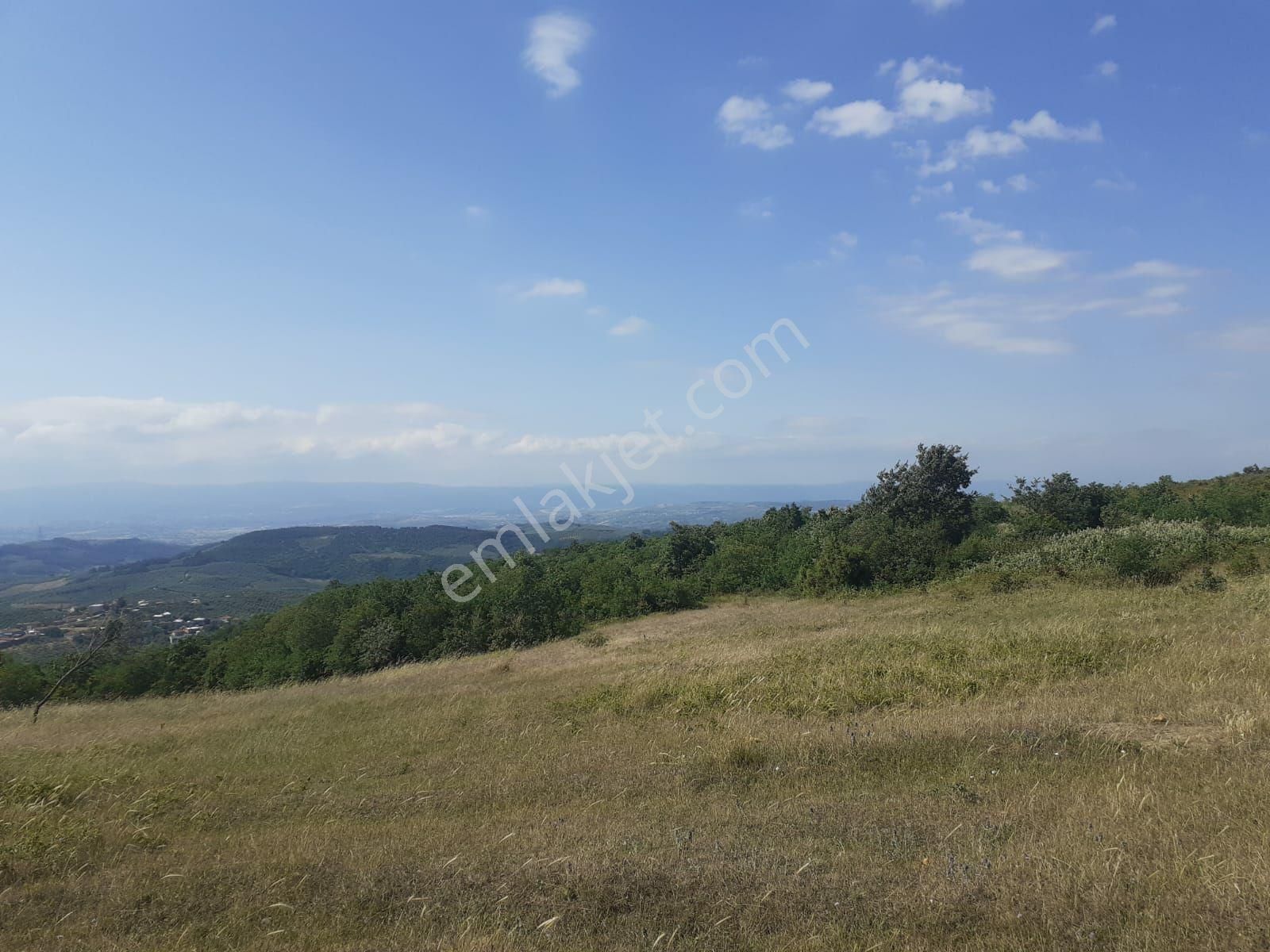 Mudanya Mirzaoba Satılık Tarla Mudanya Mirzaoba Yola Sıfır