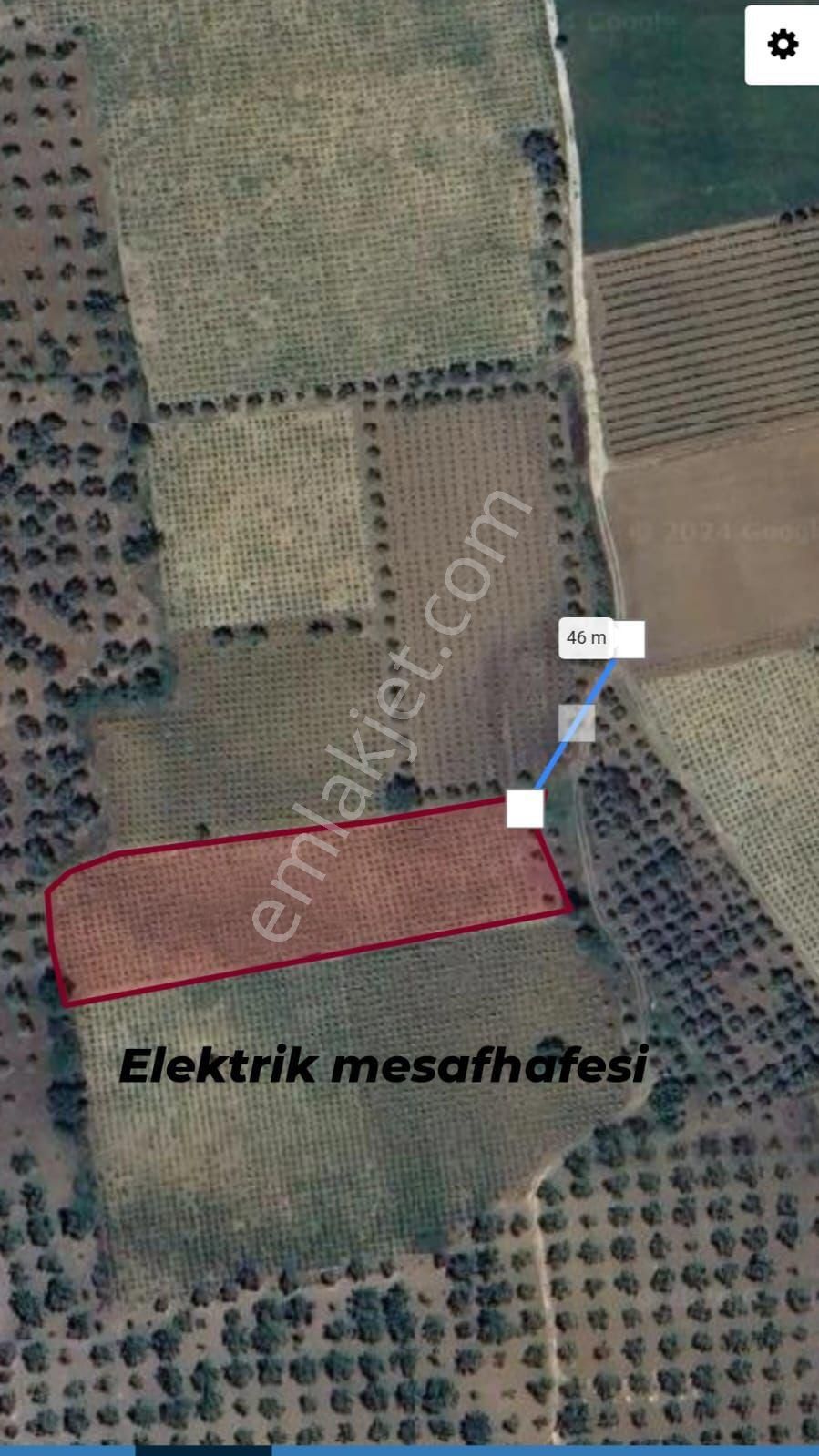 Satılık Osmancık Üzüm Bağı - Görsel 14