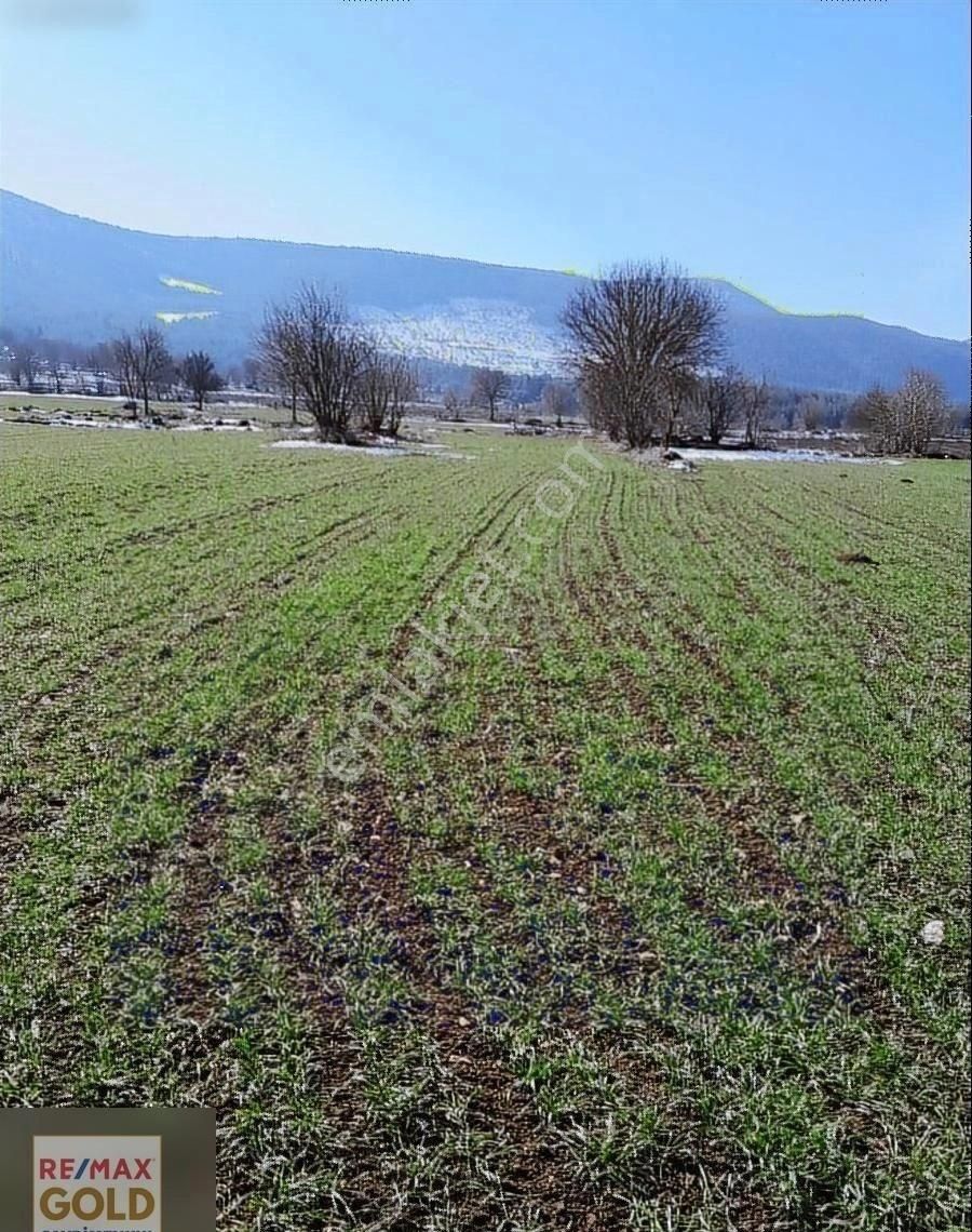 Gölpazarı Karaağaç Köyü Satılık Tarla Bilecik / Gölpazarı / Karaağaç Yatırımlık Arazi