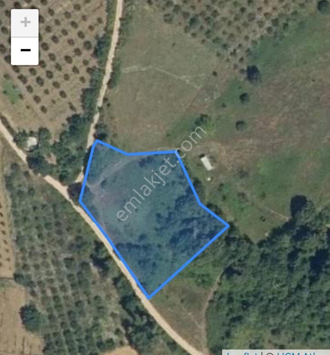 Çiftlikköy/dereköyde 3.156m Organize Sanayi Ve Otobana Yakın