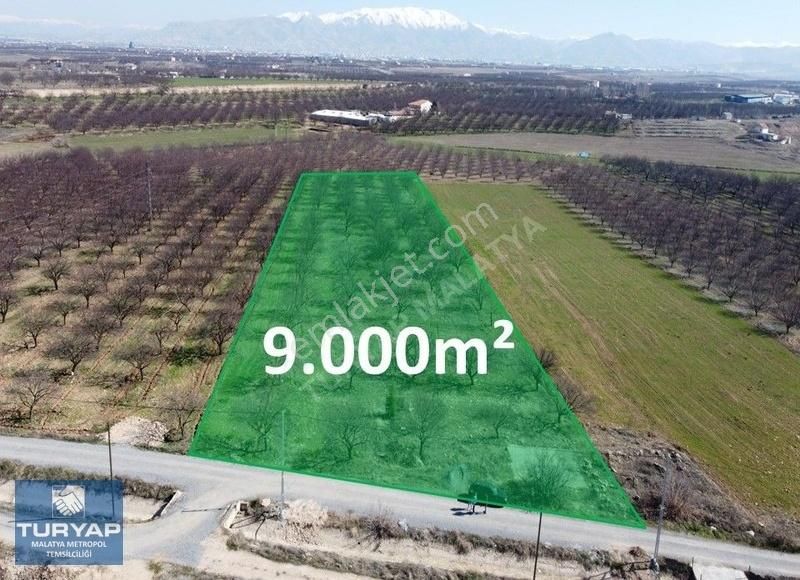 Yeşilyurt Karahan Satılık Bağ & Bahçe Turyap'tan Hava Alanı Yolu Üzerinde 9000 M² Satılık Bahçe