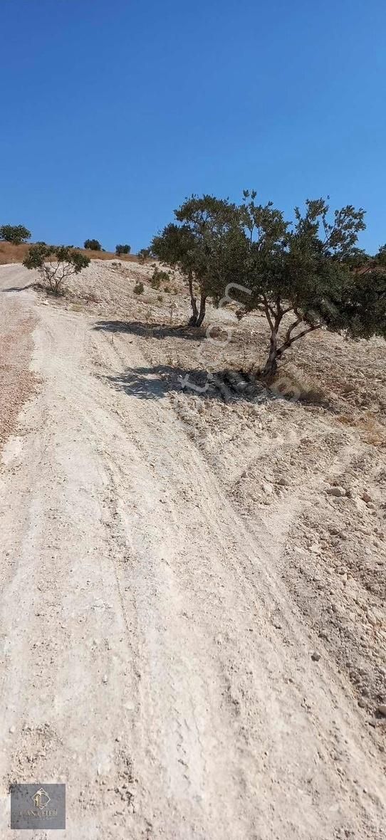 Şehitkamil Küllü Satılık Tarla Şehitkamil Küllü De Kadastro Yolu Üzeri 6800 M2 Tarla