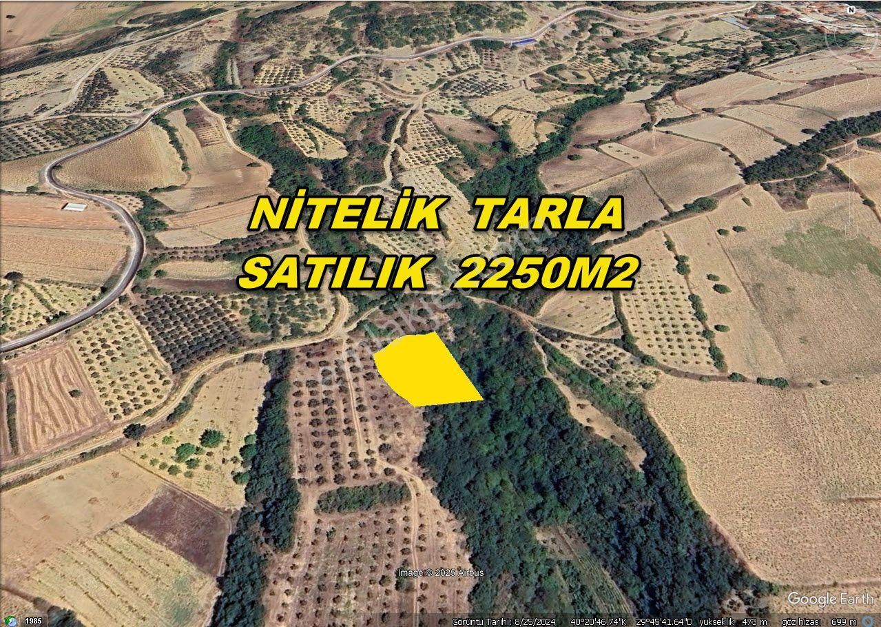 Yenişehir Kızılköy Satılık Tarla Bursa Yenişehir Kızılköyde Acil Satılık 2250m2 Tarla