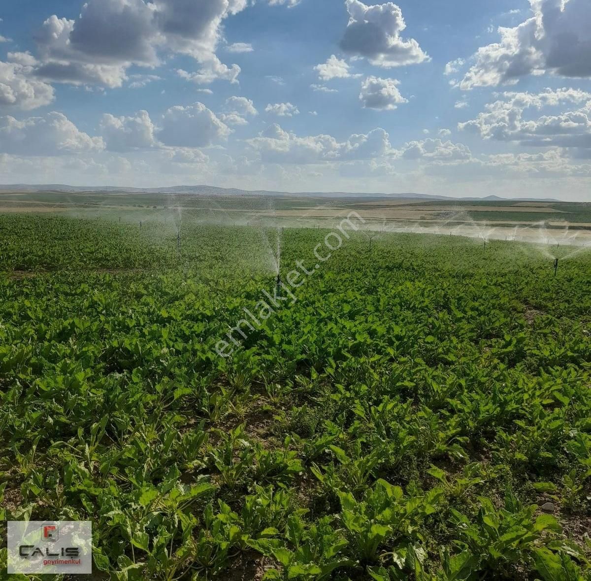 Gülşehir Emmiler Köyü (Yeni) Satılık Tarla Nevşehir Bölgesi Teşviğe Uygun 300.000 M2 Tapulu Tarla