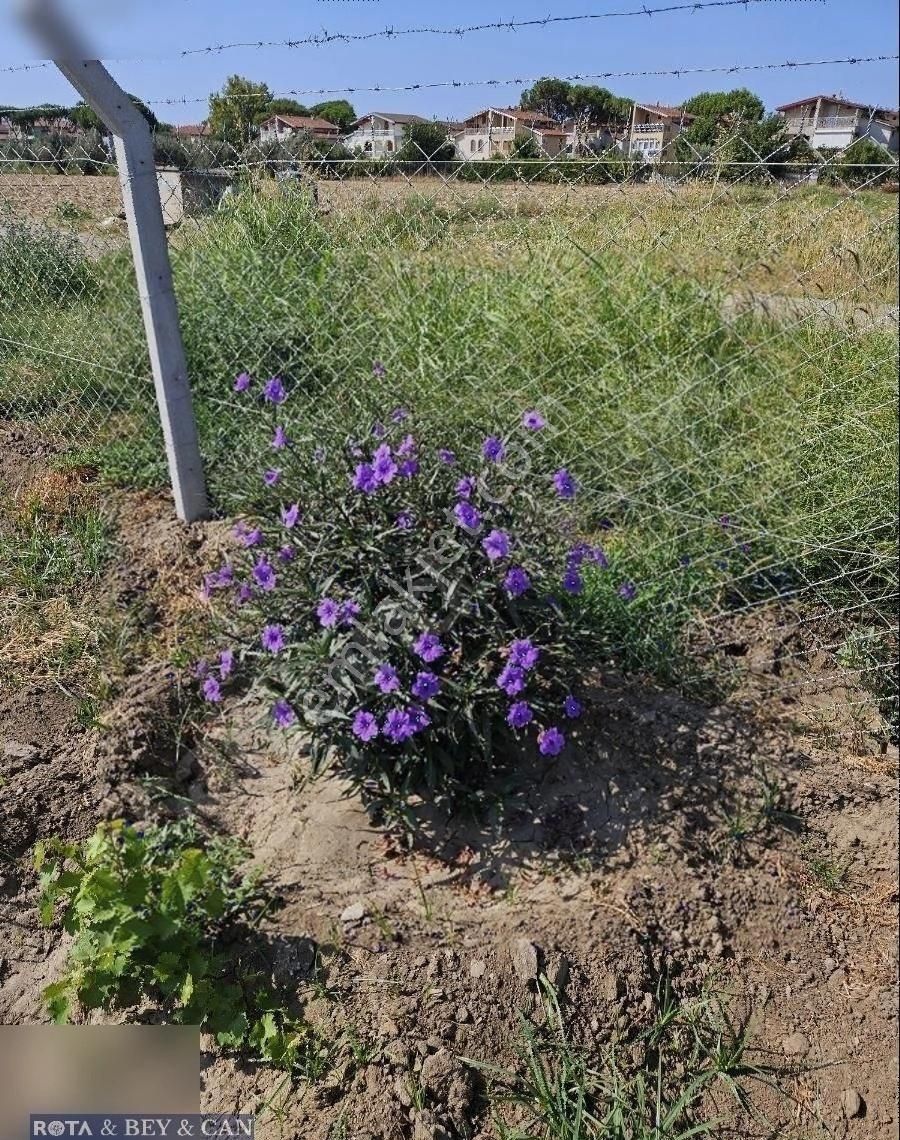 Ayvalık Altınova Satılık Tarla Ayvalık Altınovada Hobi Bahçesi Yapımına Uygun Tarla