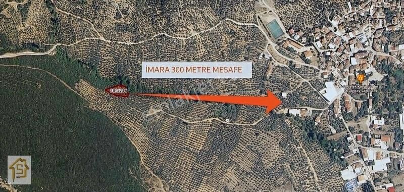 Orhangazi Gedelek Satılık Zeytinlik Soylu'dan Gedelek Köyünde İmara 350metre Mesafe 1300m2 Zeytinlik