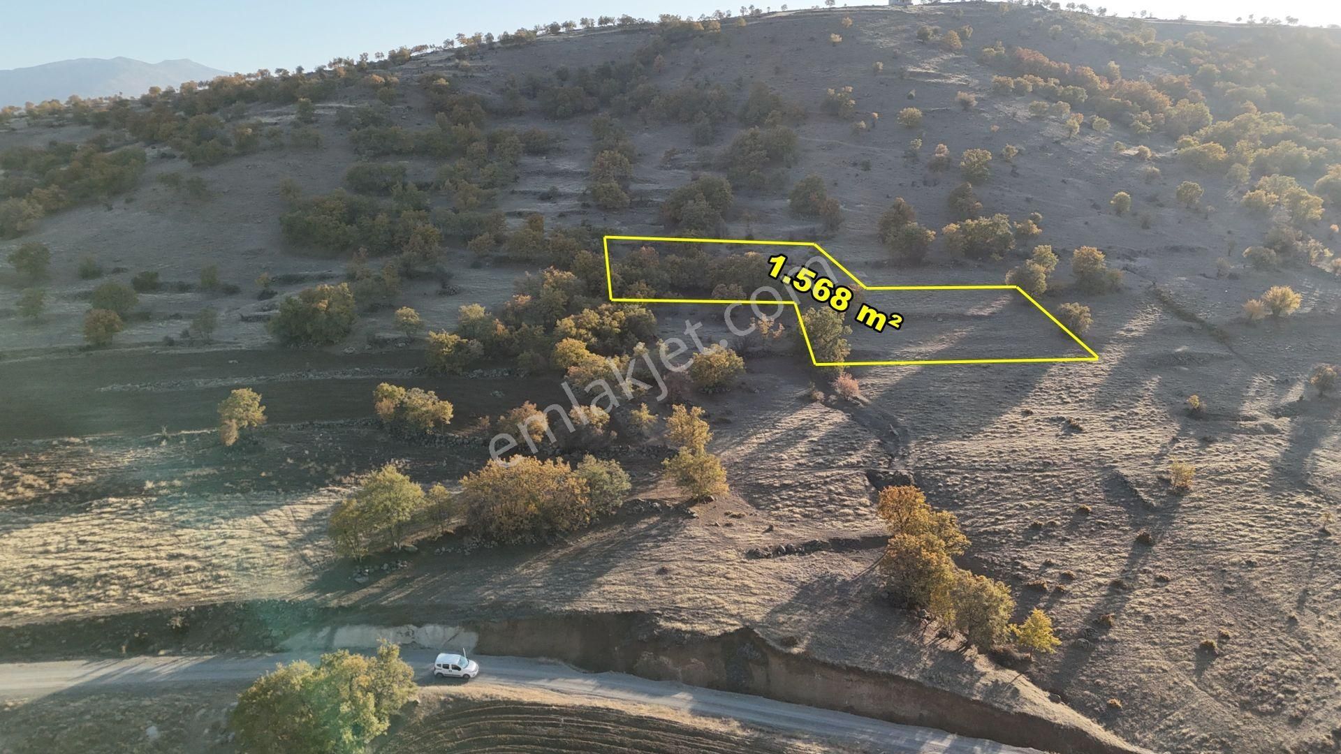 Meram Yeşiltekke Satılık Tarla Konya / Meram / Yeşil Tekke Mahallesinde 1.568 M² Müstakil Tapulu Tarla