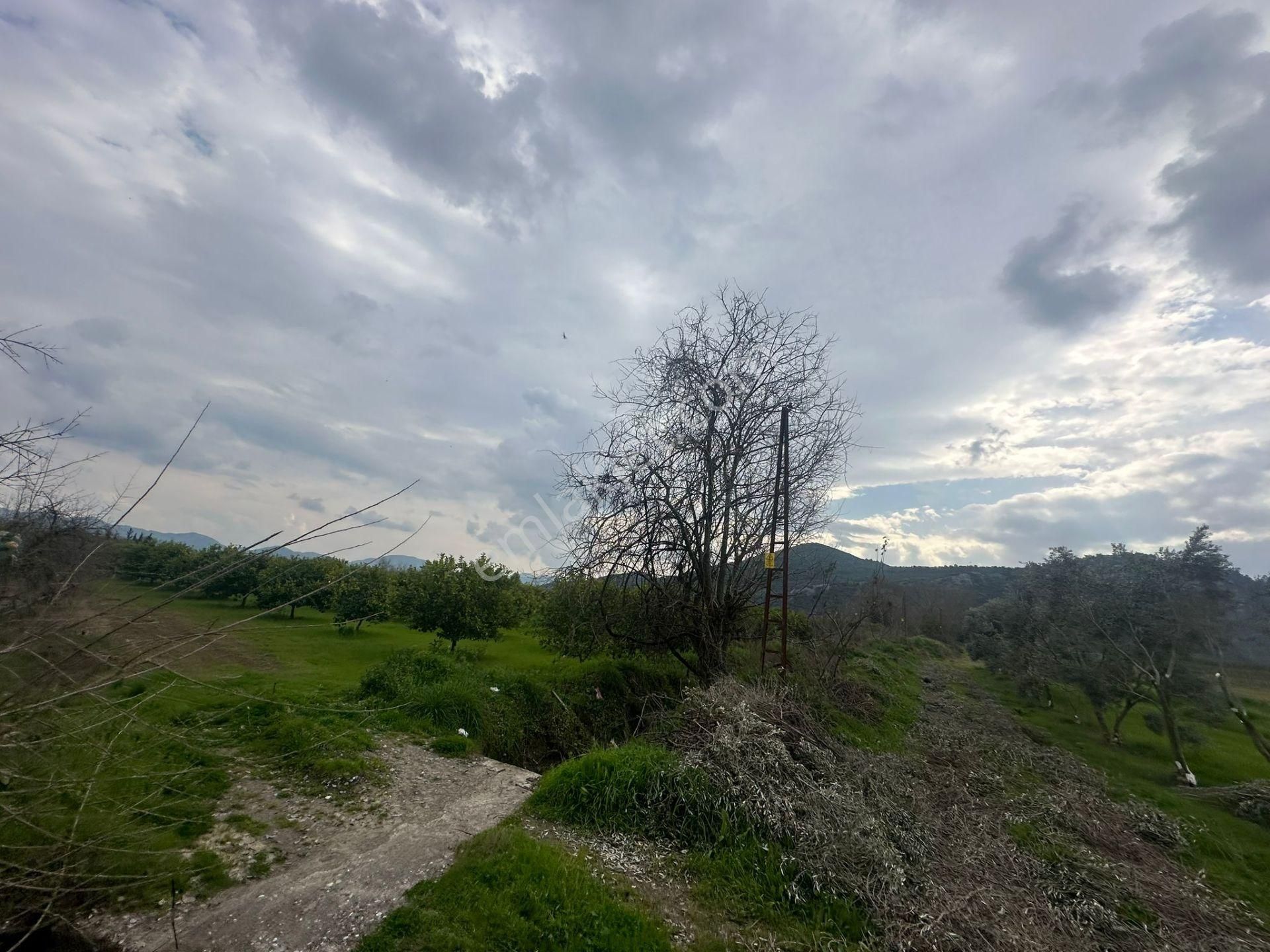 Ortaca Güzelyurt Mahallesinde 12700 M2 Satılık Tarla - Görsel 15