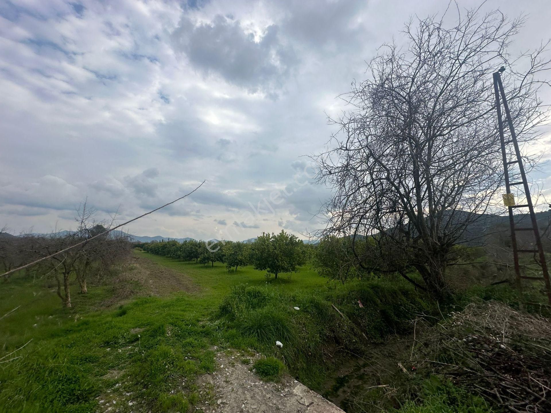 Ortaca Güzelyurt Mahallesinde 12700 M2 Satılık Tarla - Görsel 10
