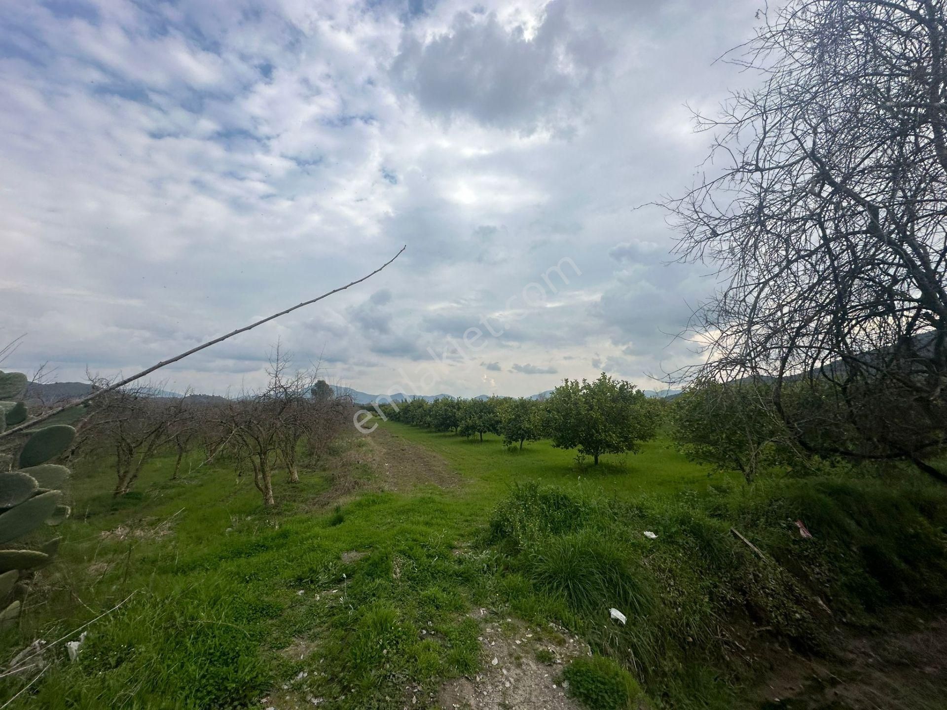 Ortaca Güzelyurt Mahallesinde 12700 M2 Satılık Tarla - Görsel 12