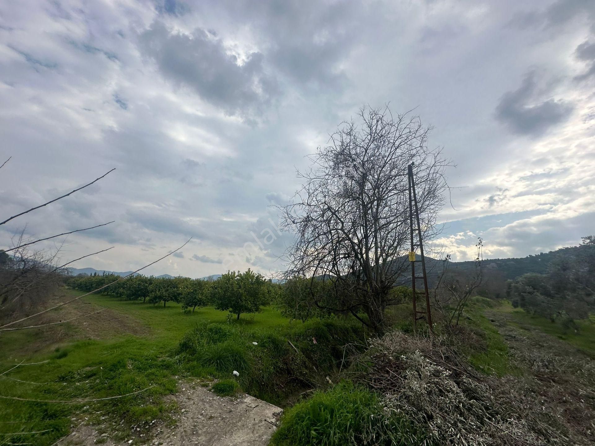 Ortaca Güzelyurt Mahallesinde 12700 M2 Satılık Tarla - Görsel 11