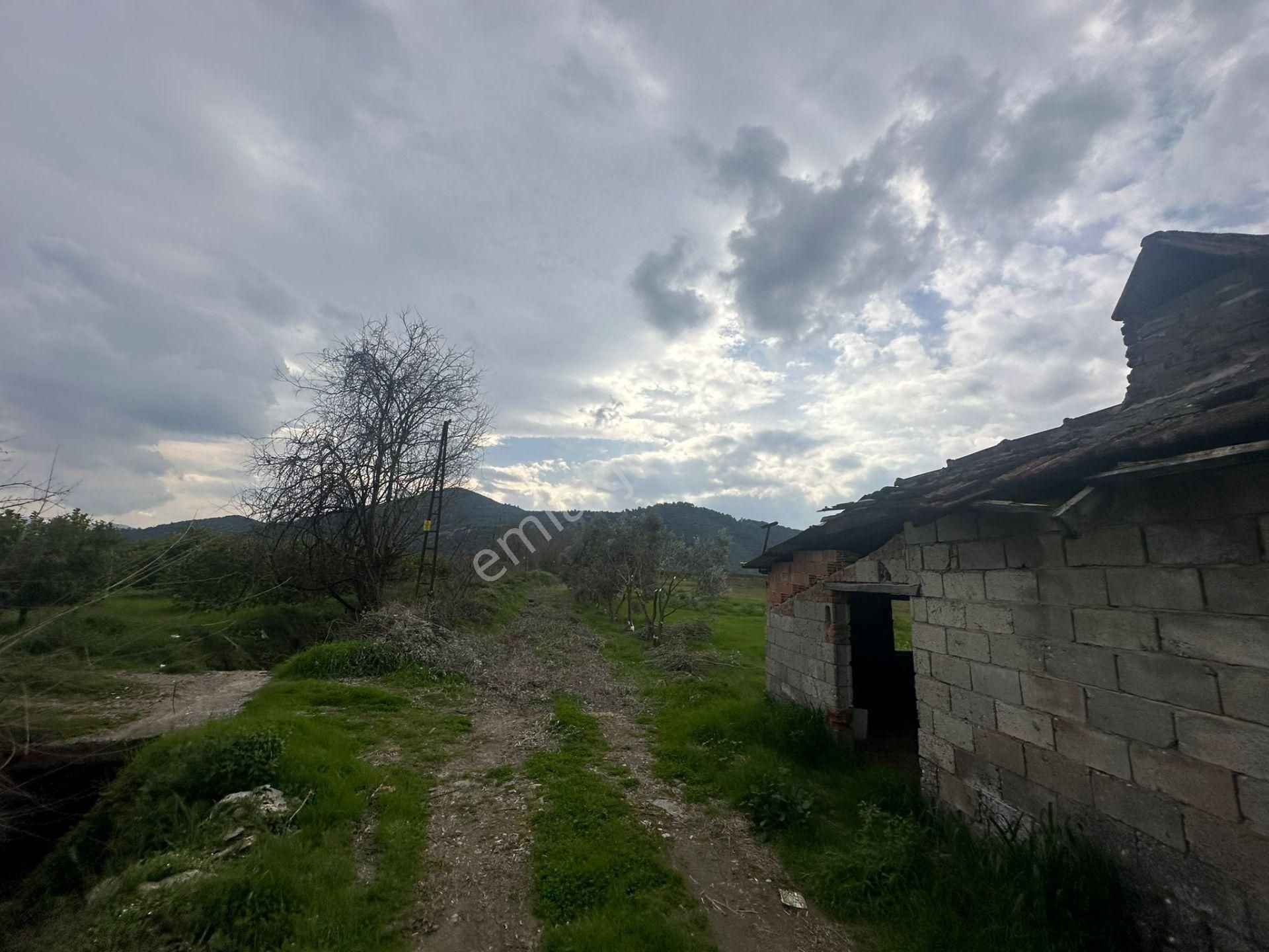 Ortaca Güzelyurt Mahallesinde 12700 M2 Satılık Tarla - Görsel 14