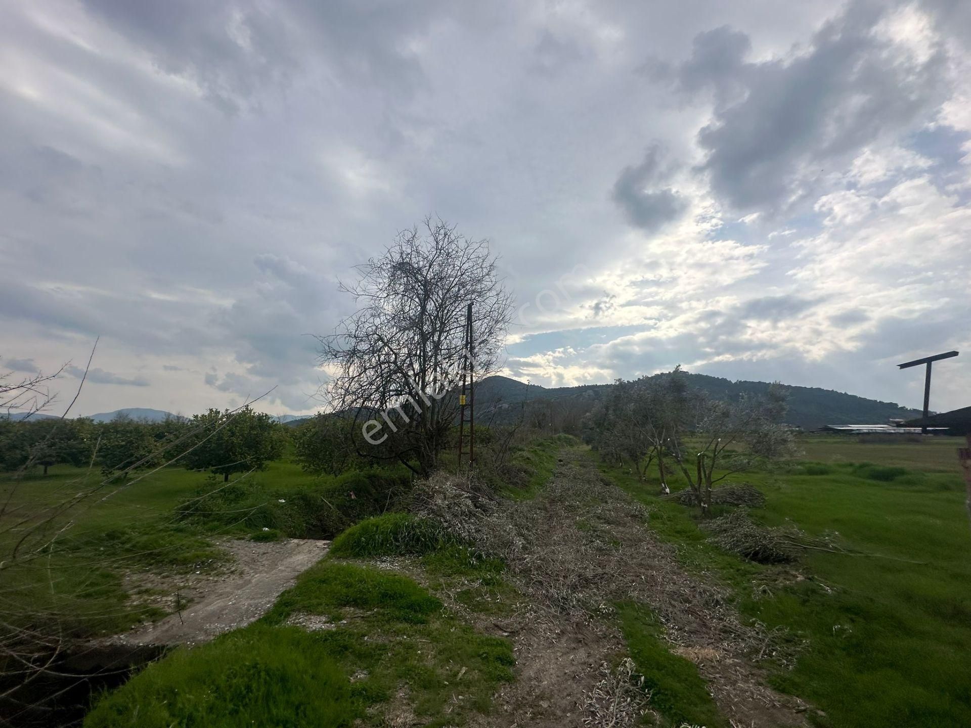 Ortaca Güzelyurt Mahallesinde 12700 M2 Satılık Tarla - Görsel 13
