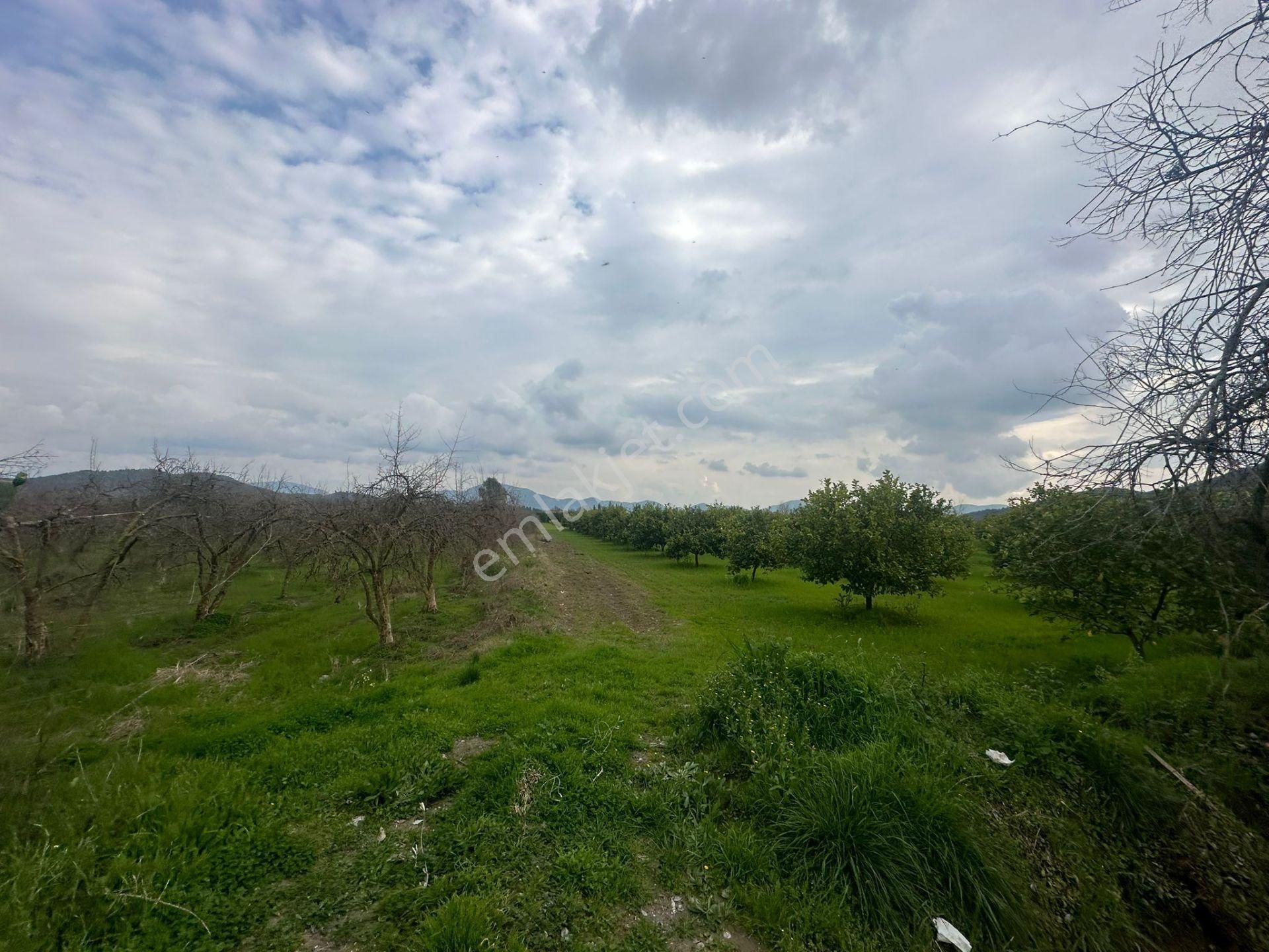 Ortaca Güzelyurt Mahallesinde 12700 M2 Satılık Tarla - Görsel 8