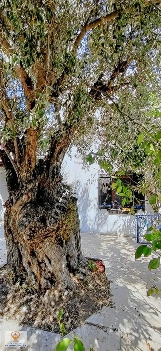 Kumbahçe Plaja 3 Dk. - Görsel 16