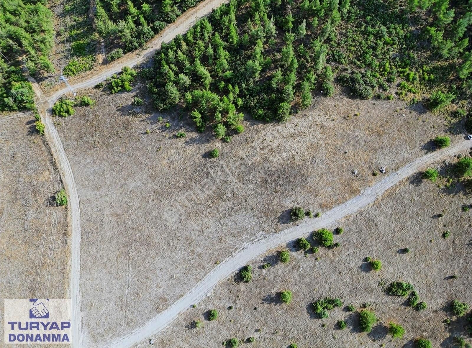 Osmaneli Sarıyazı Köyü Satılık Tarla Bilecik Osmaneli İznik'e 15 Km Mükemmel Kelepir Tarla