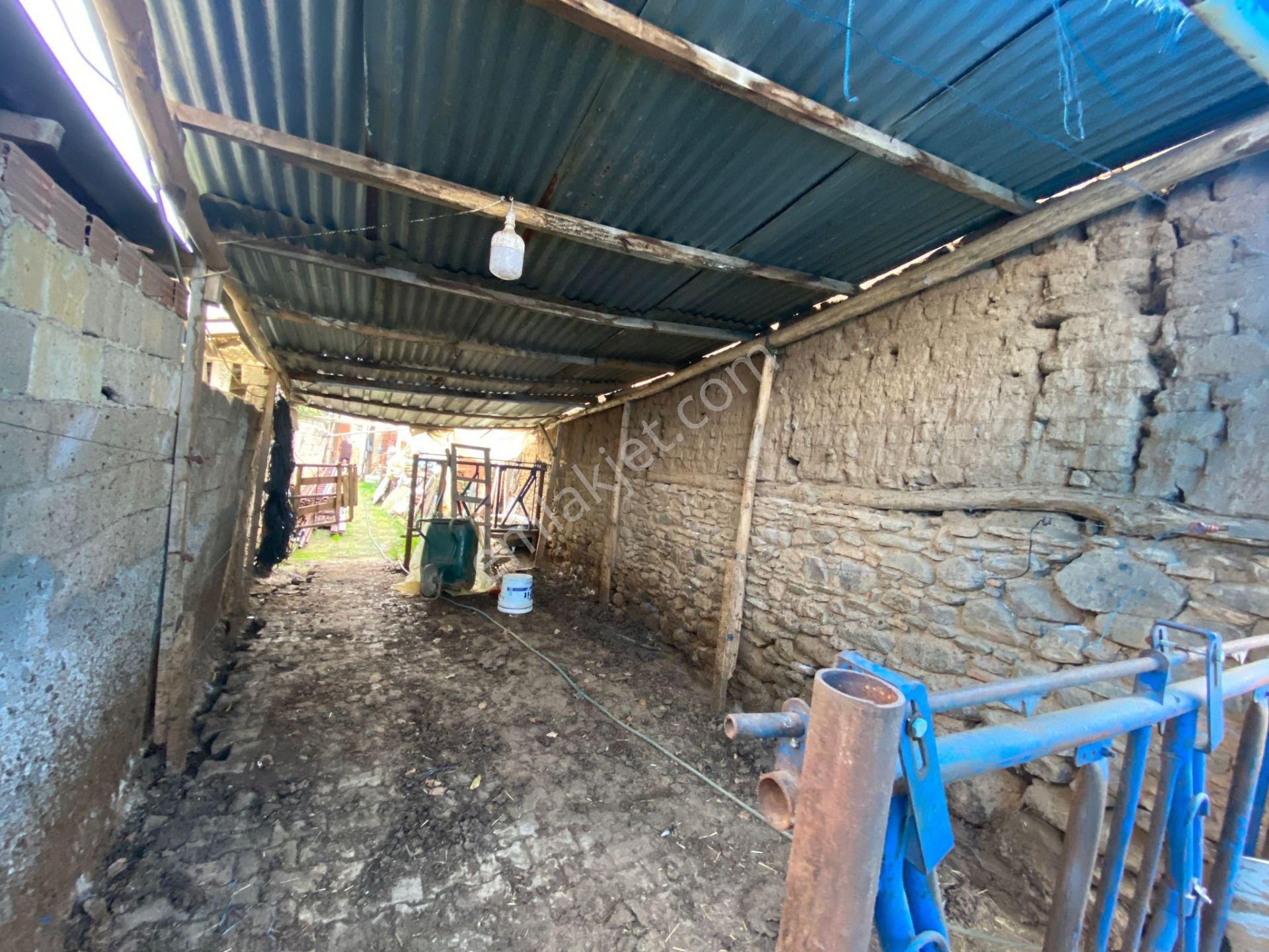 Gülcü Gayrimenkulden Yeniceköy De Satılık Köy Evi Ve Damı - Görsel 20