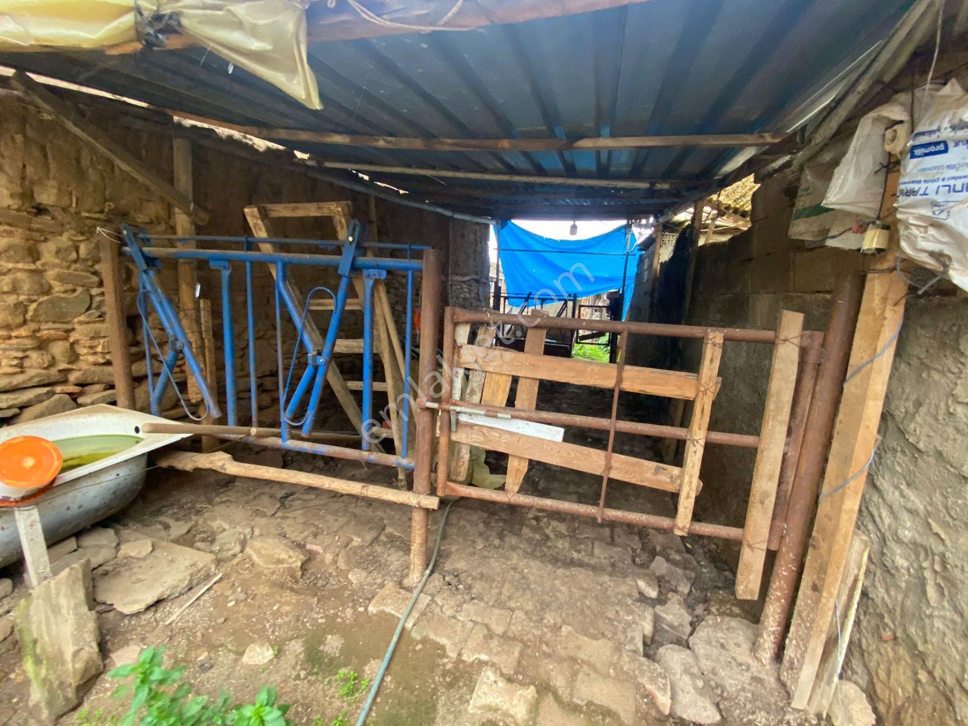 Gülcü Gayrimenkulden Yeniceköy De Satılık Köy Evi Ve Damı - Görsel 3