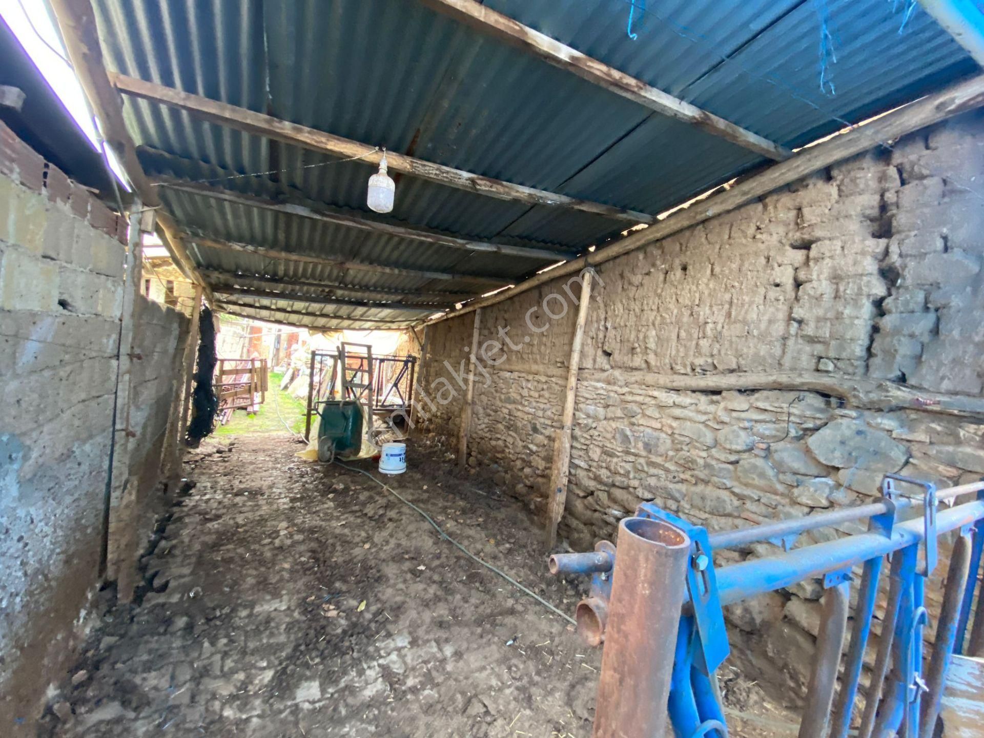 Gülcü Gayrimenkulden Yeniceköy De Satılık Köy Evi Ve Damı - Görsel 7