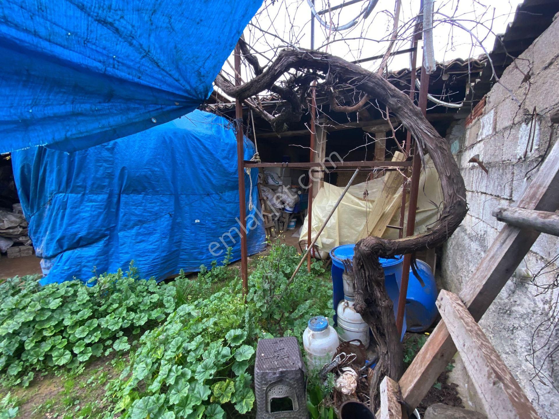 Gülcü Gayrimenkulden Yeniceköy De Satılık Köy Evi Ve Damı - Görsel 18