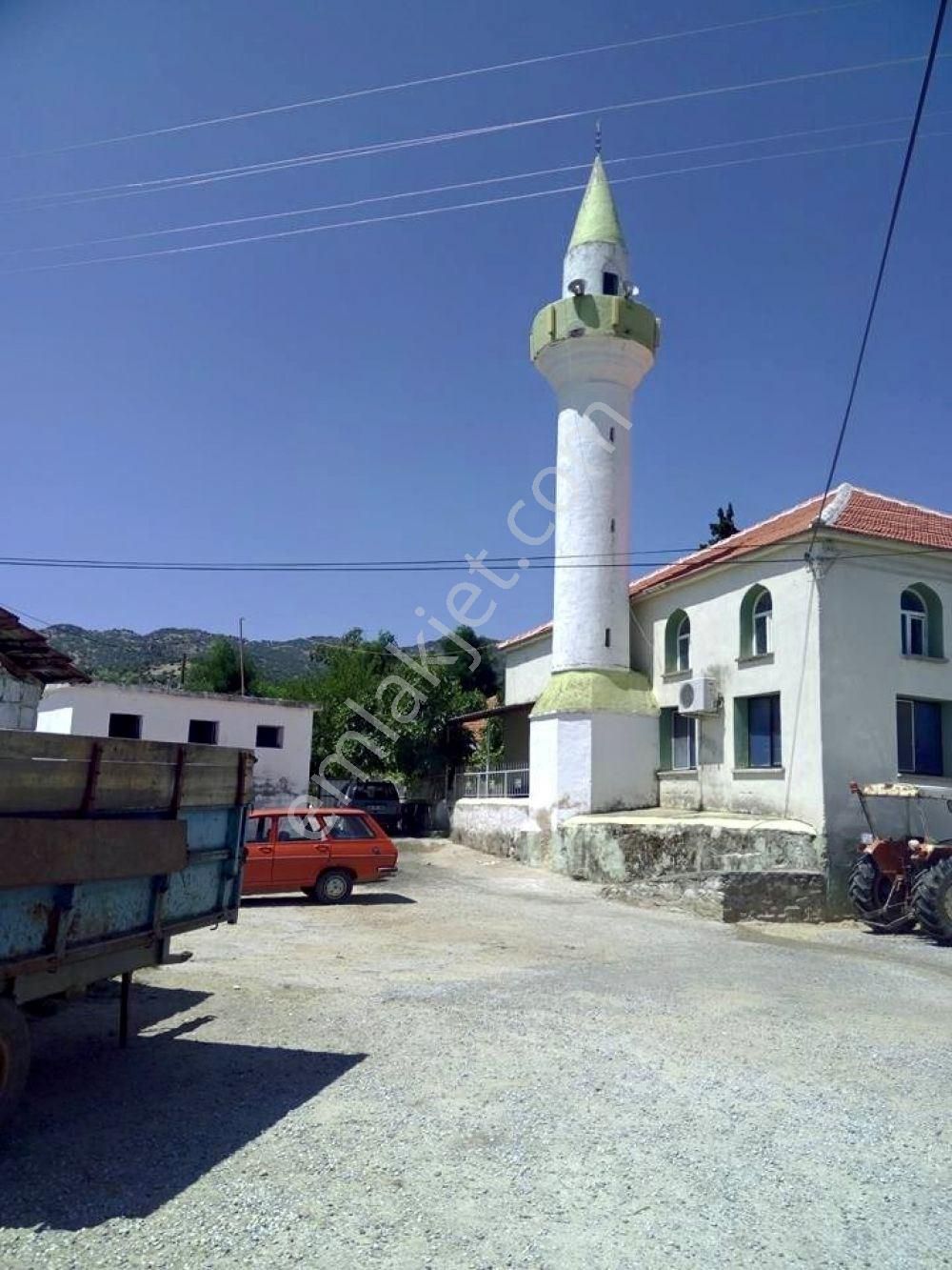 Karpuzlu Ektirli Mahallesinde 16.739 M² Satılık Zeytinlik - Görsel 2