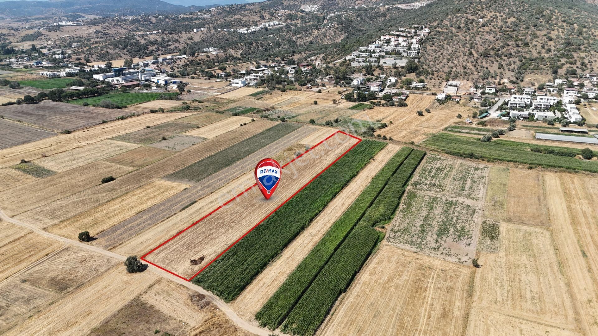 Milas Dörttepe'de Yolu Olan 10.028 M² Satılık Tarla - Görsel 6