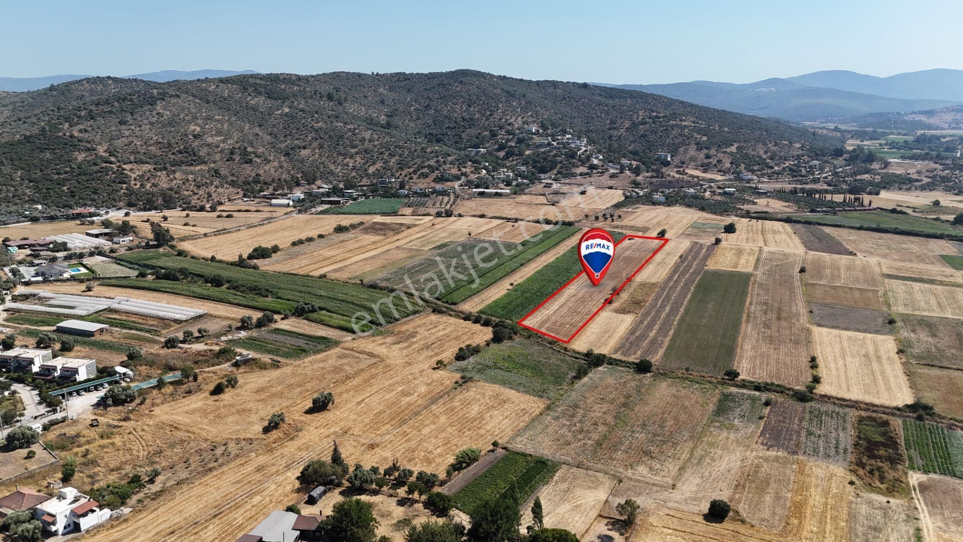 Milas Dörttepe'de Yolu Olan 10.028 M² Satılık Tarla - Görsel 5