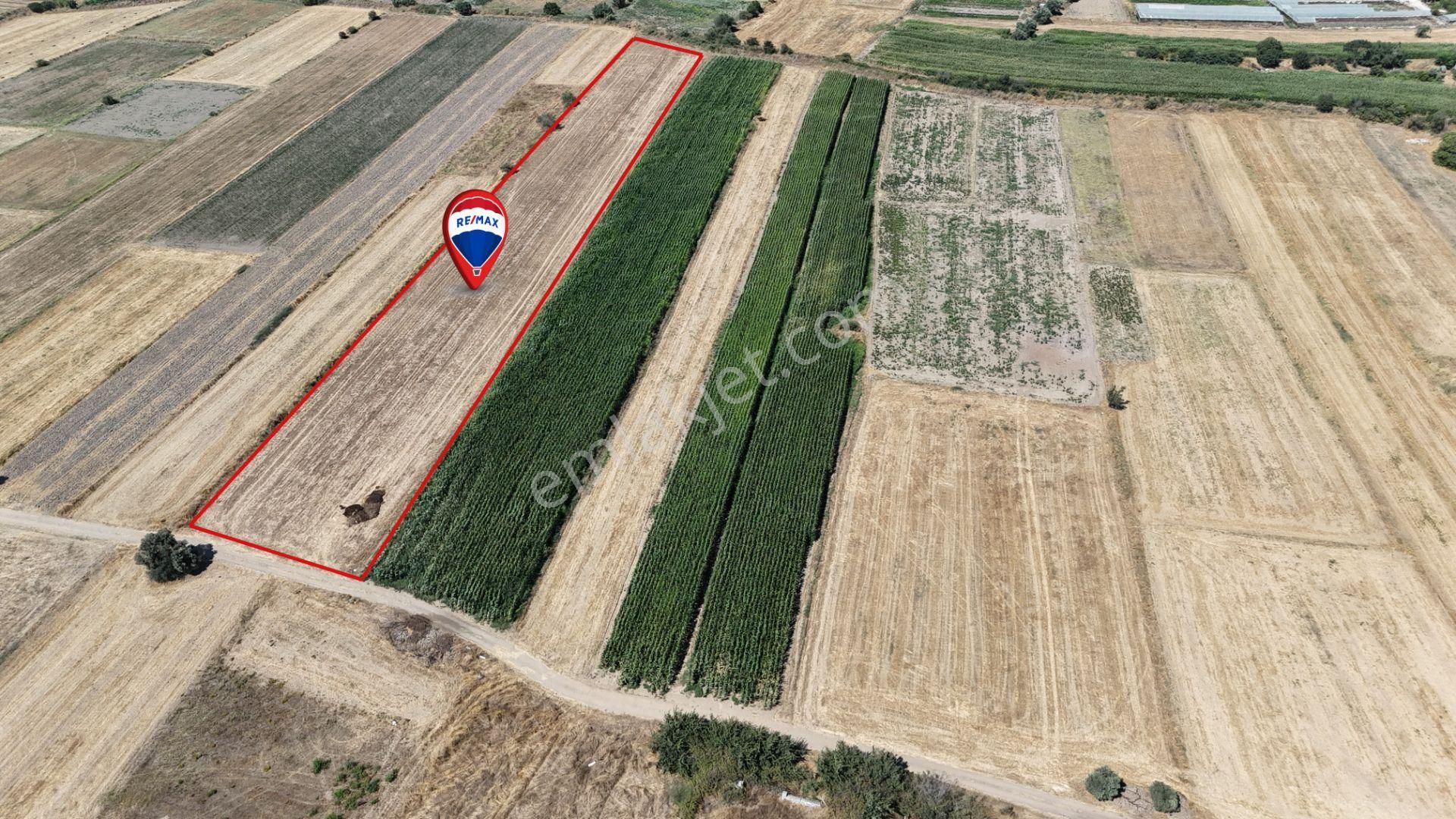 Milas Dörttepe'de Yolu Olan 10.028 M² Satılık Tarla - Görsel 3