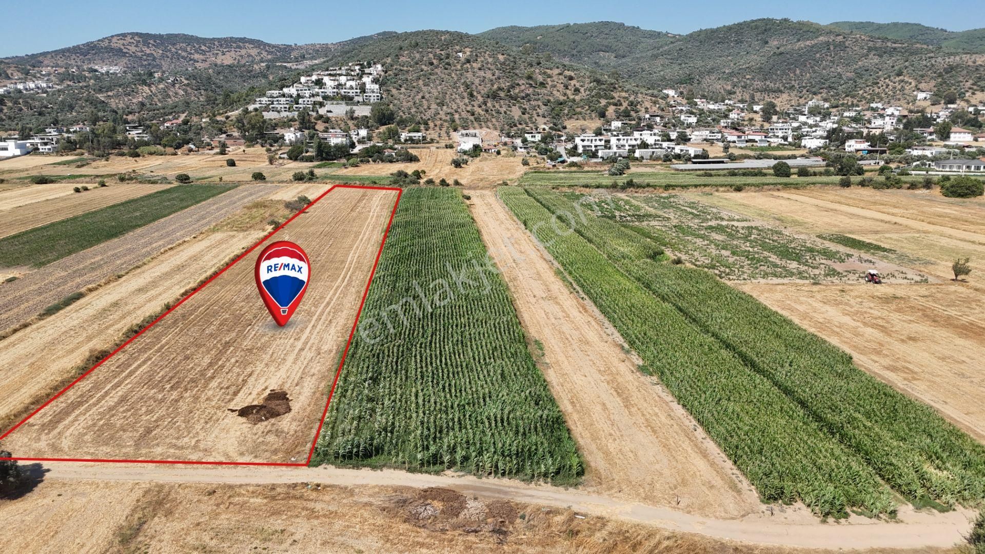 Milas Dörttepe'de Yolu Olan 10.028 M² Satılık Tarla - Görsel 2