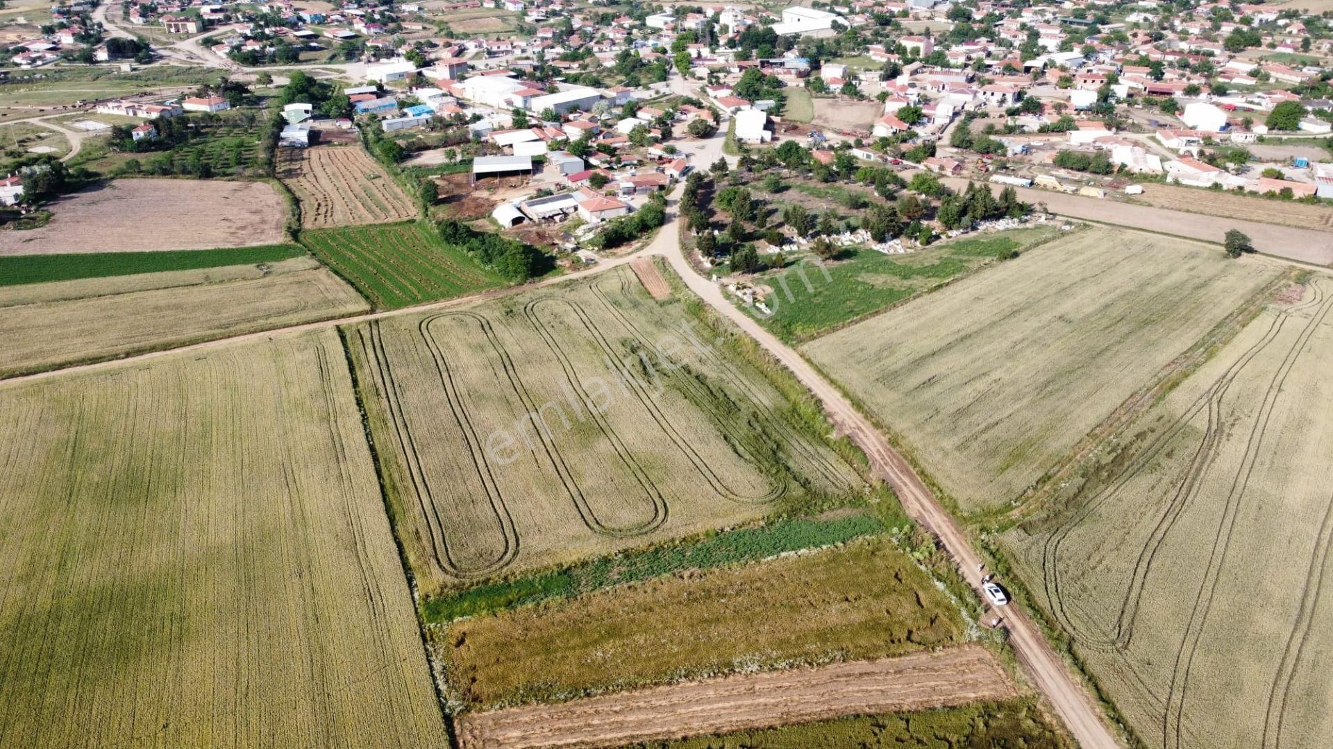 İpsala Koyuntepe Köyü Satılık Tarla Edirne İpsala Koyuntepe Köy Yanı Fırsat Tarla