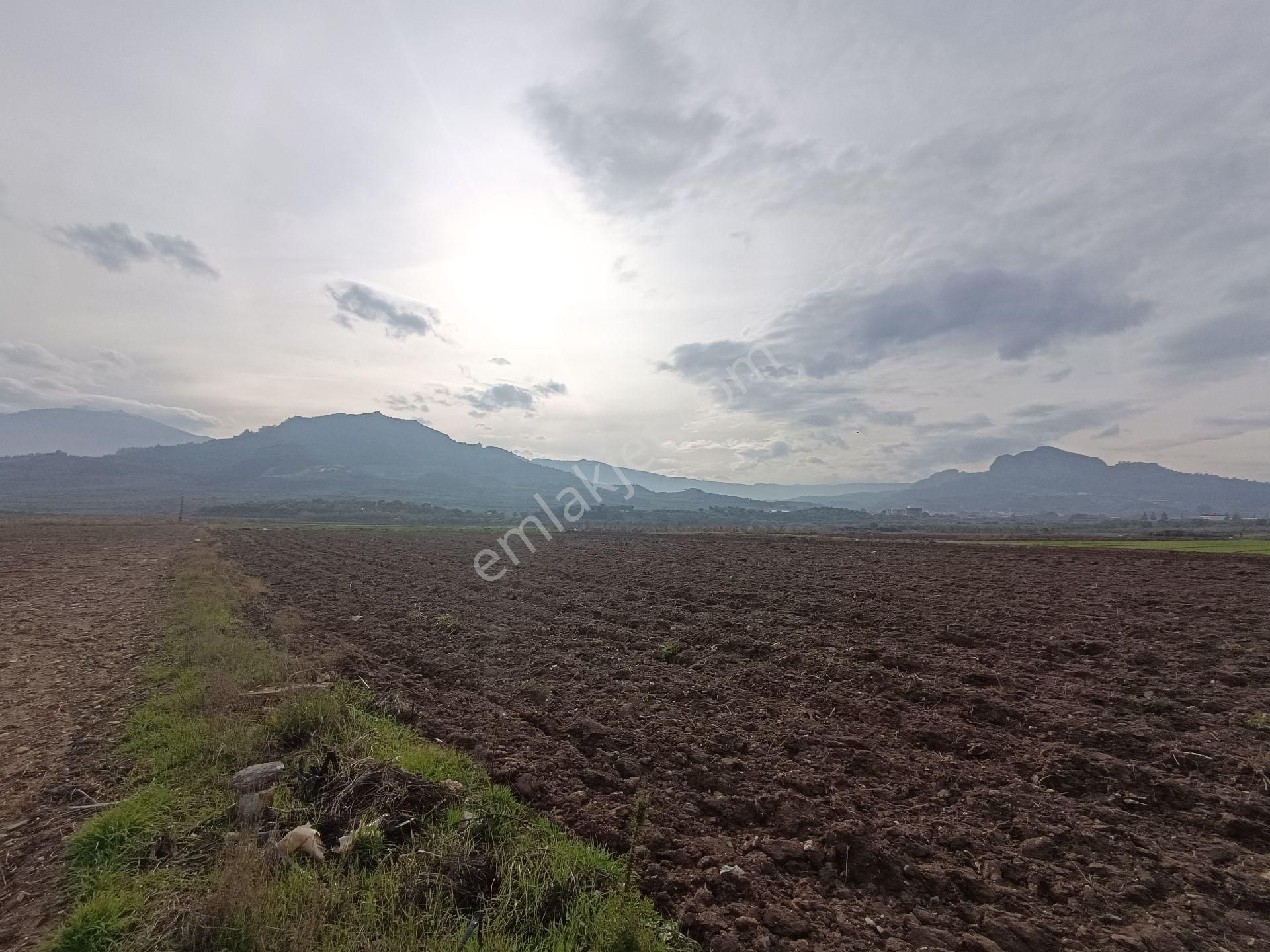 Salihli Sart Satılık Tarla Manisa Salihli Çalışkan Emlaktan Satılık Sart Mahalesinde Tarla