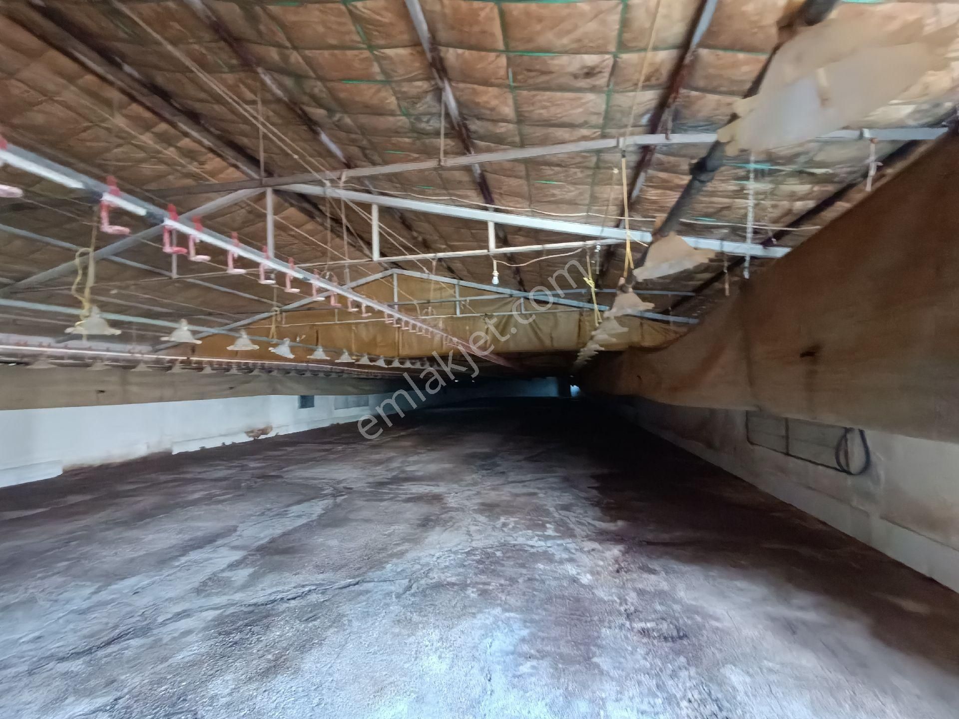 Manisa Salihli Çalışkan Emlaktan Satılık Dombayli Mahallesindr Tavuk Çiftliği - Görsel 29