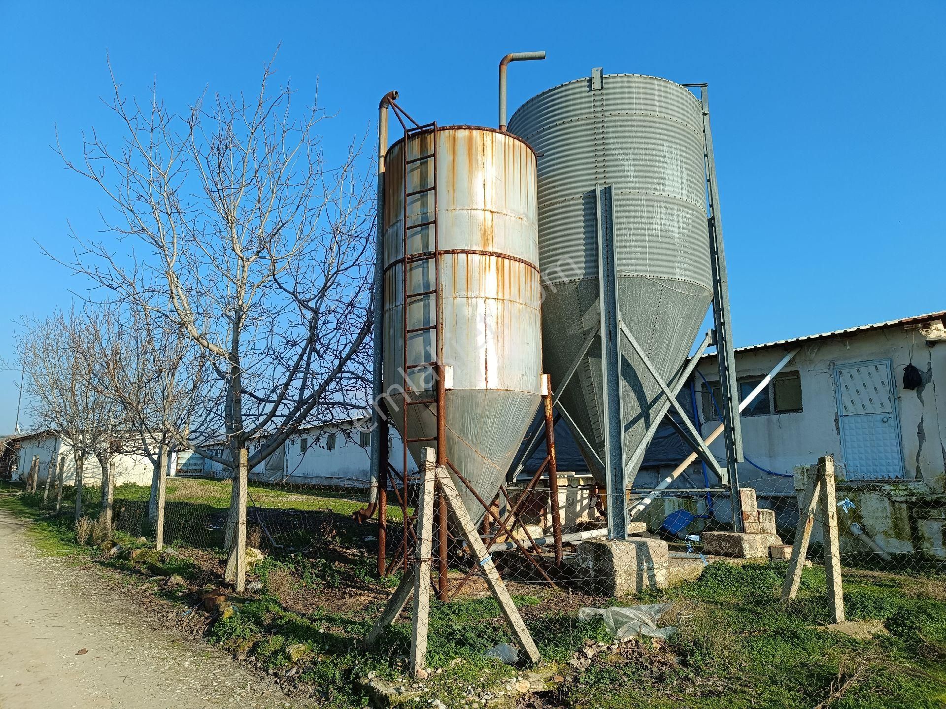 Manisa Salihli Çalışkan Emlaktan Satılık Dombayli Mahallesindr Tavuk Çiftliği - Görsel 4
