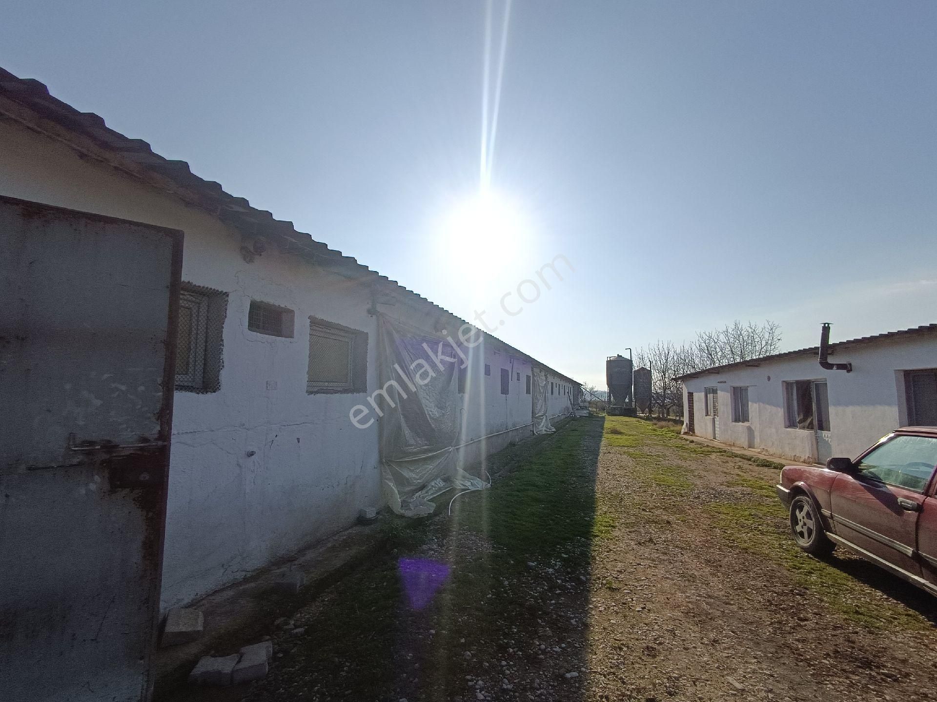 Manisa Salihli Çalışkan Emlaktan Satılık Dombayli Mahallesindr Tavuk Çiftliği - Görsel 28