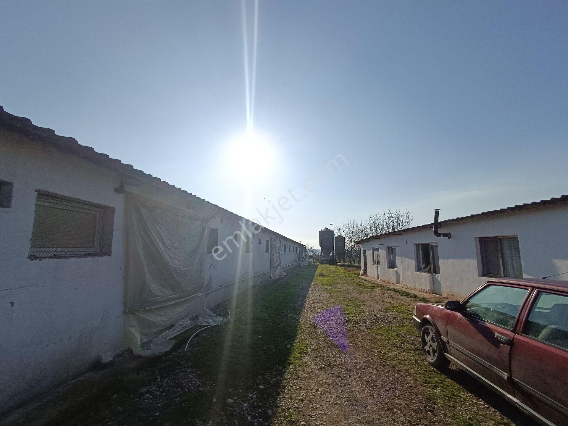 Manisa Salihli Çalışkan Emlaktan Satılık Dombayli Mahallesindr Tavuk Çiftliği - Görsel 25