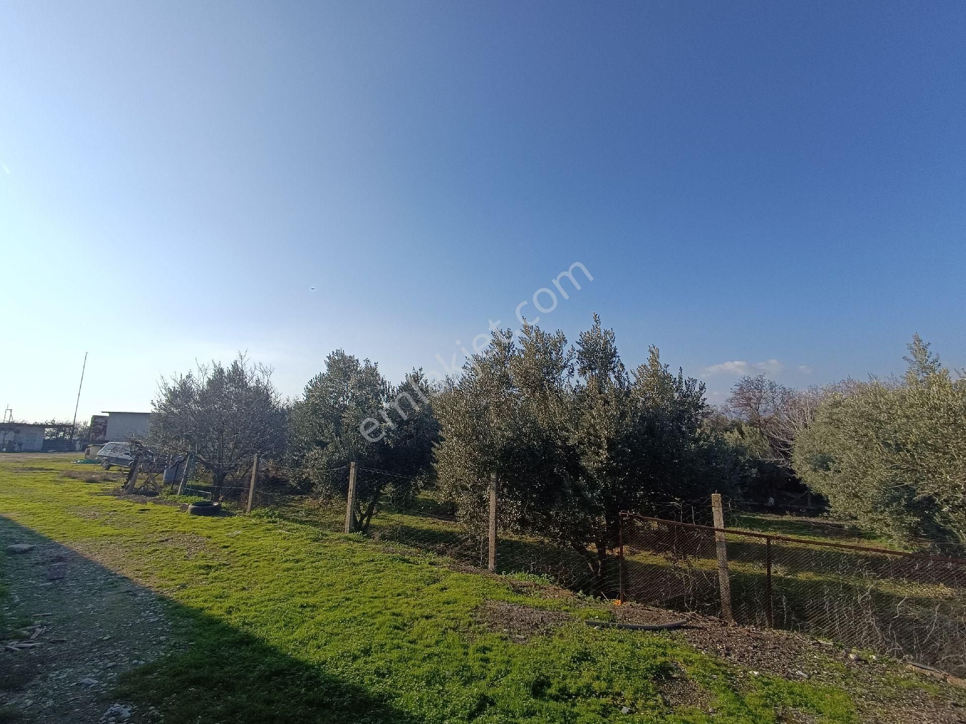 Manisa Salihli Çalışkan Emlaktan Satılık Dombayli Mahallesindr Tavuk Çiftliği - Görsel 18