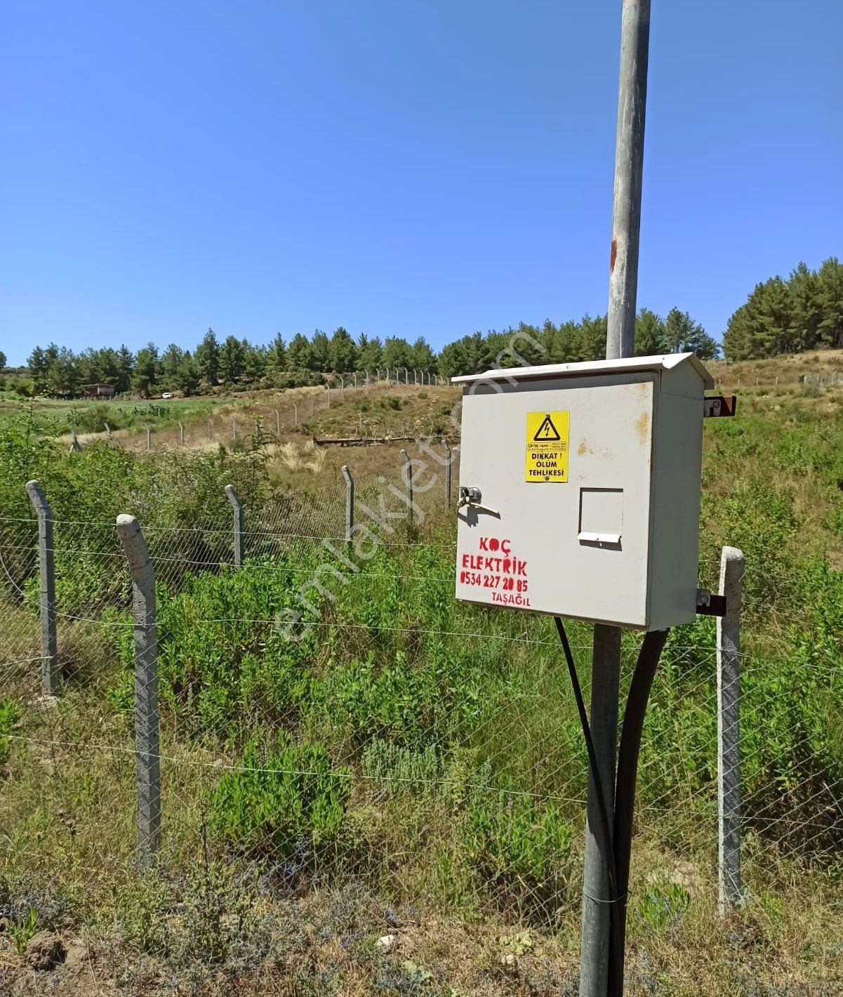 Taşağıl Satılık Fırsat Tarla - Görsel 8