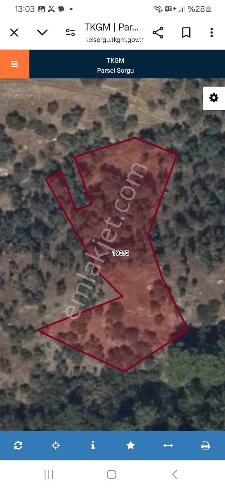 İzmir İli Bayındır İlçesi Sarıyurt Mahallesi Kale Mevkiinde Satılık Zeytinlikler - Görsel 3