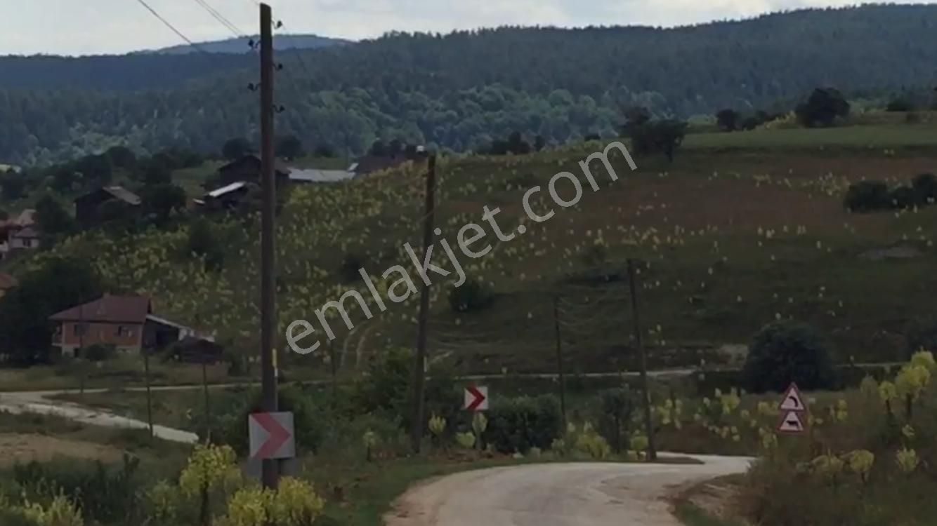 Bolu Merkez Sebenardı Köyü (Merkez) Satılık Konut İmarlı Bolu,merkez, Sebenardı Köyü,satılık 5.541 M2 Köyiçi Arsa