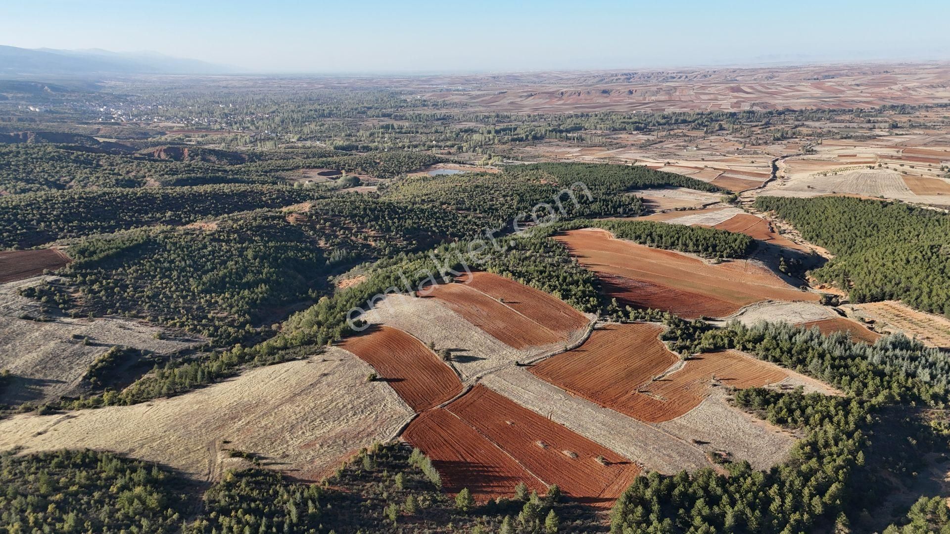 Doğanhisar Ayaslar Satılık Tarla Konya / Doğanhisar / Cumhuriyet-ayaslar Mahallesinde 9.728 M² Müstakil Tapulu Tarla