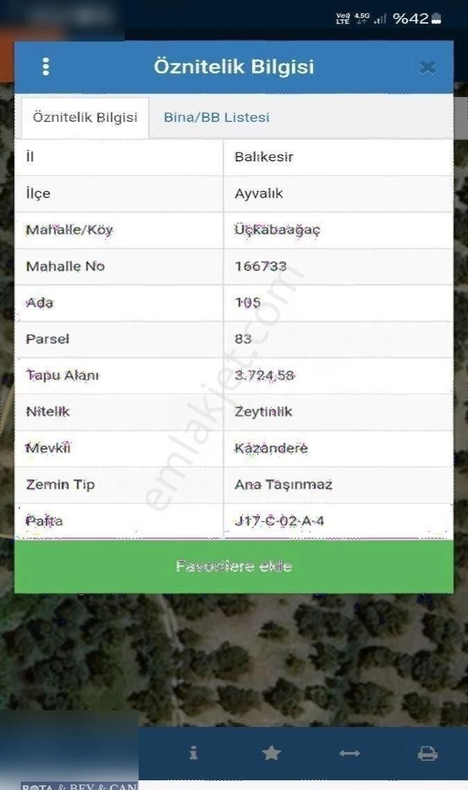 Ayvalık Üçkabaagaç Mah Bakımlı Zeytinlik - Görsel 20