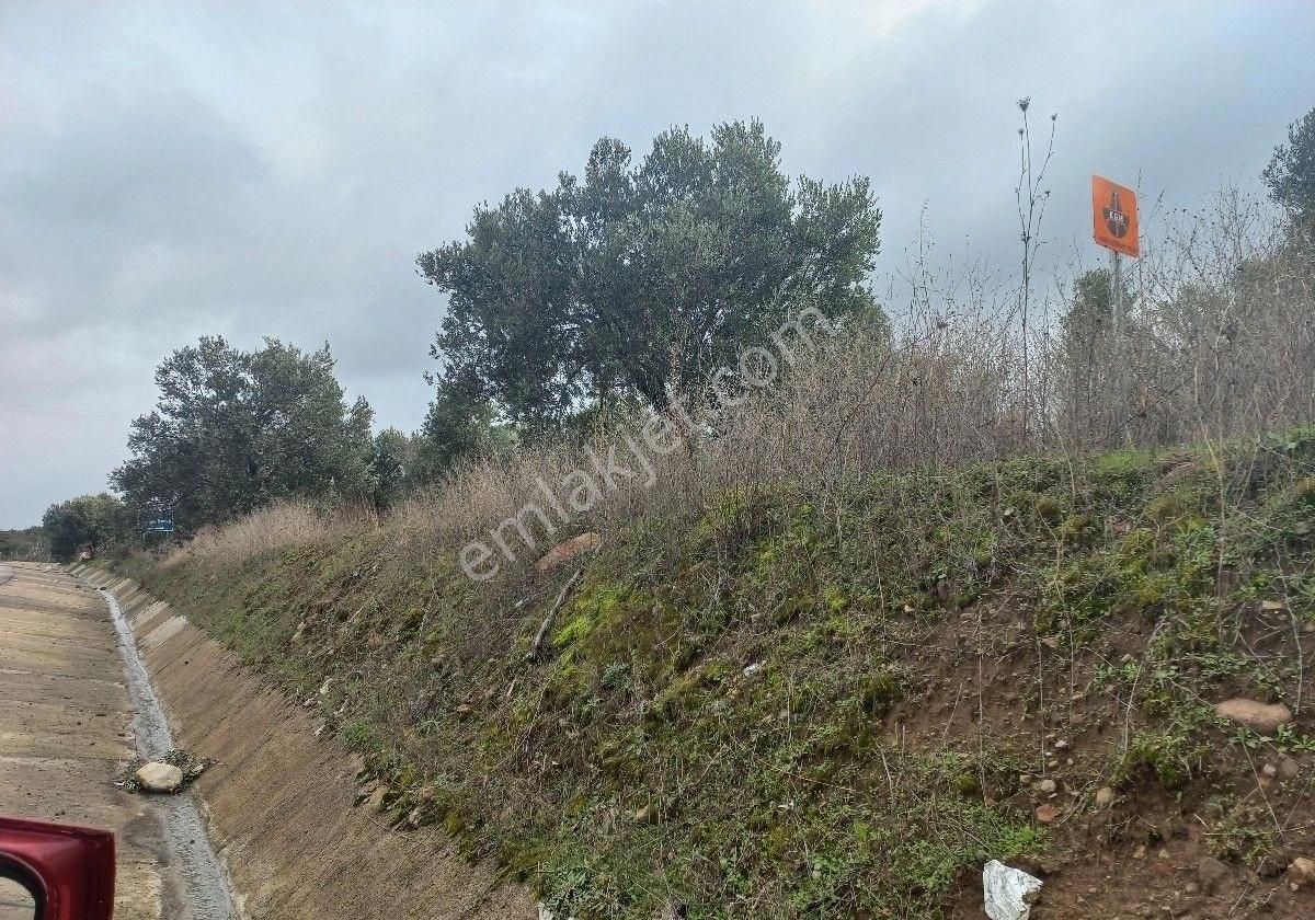 Mantıklı Takasa Açık Akcay Işıkhan Emlaktan Havranda Balıkesir Ana Yolo Cephe Döner Kavşak Karşısı - Görsel 3