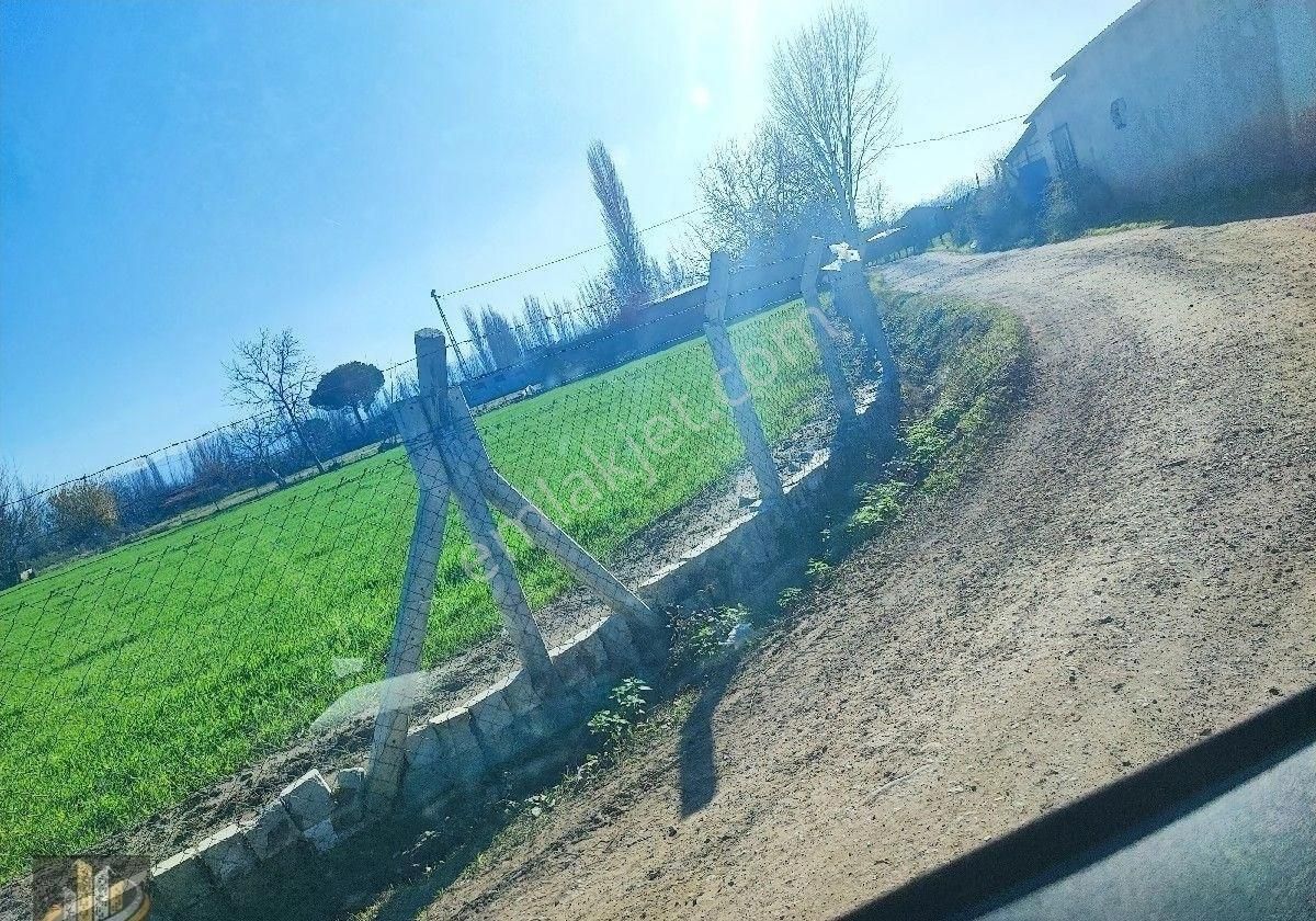 Işıkhan 'dan Kadıkköy Akçay Arası İmara Yakın 8050m2 Tarla Vasfında Ceviz Kiraz Bahçesi - Görsel 4