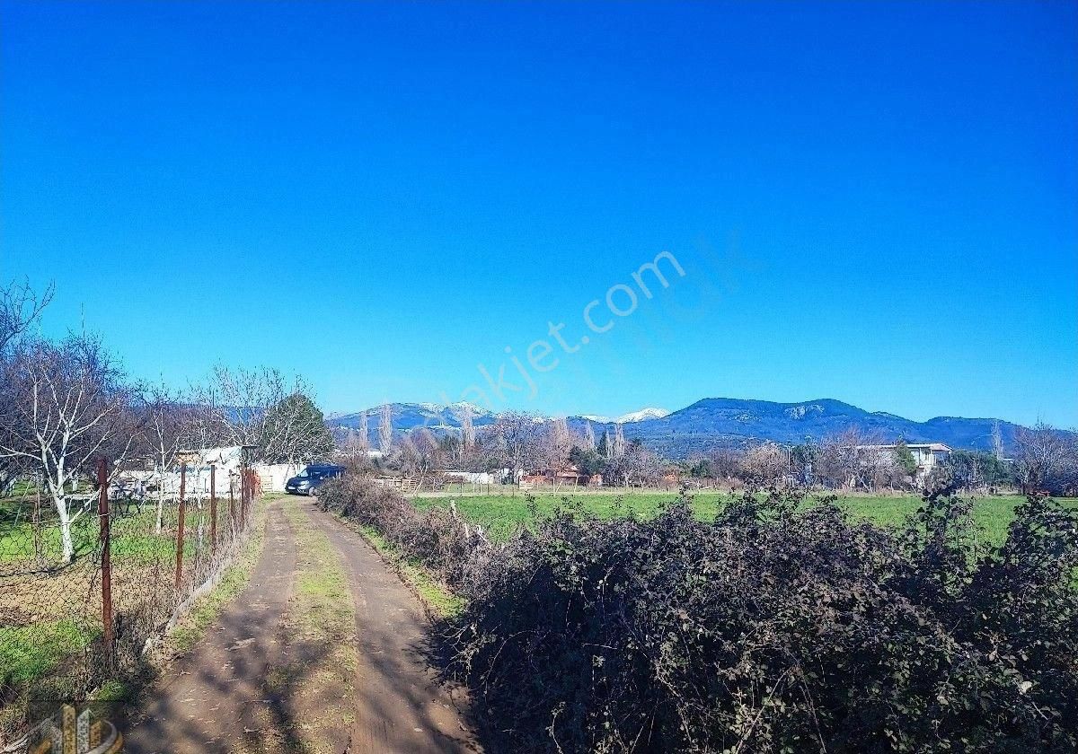 Işıkhan 'dan Kadıkköy Akçay Arası İmara Yakın 8050m2 Tarla Vasfında Ceviz Kiraz Bahçesi - Görsel 7