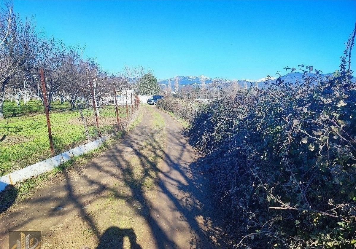 Işıkhan 'dan Kadıkköy Akçay Arası İmara Yakın 8050m2 Tarla Vasfında Ceviz Kiraz Bahçesi - Görsel 6