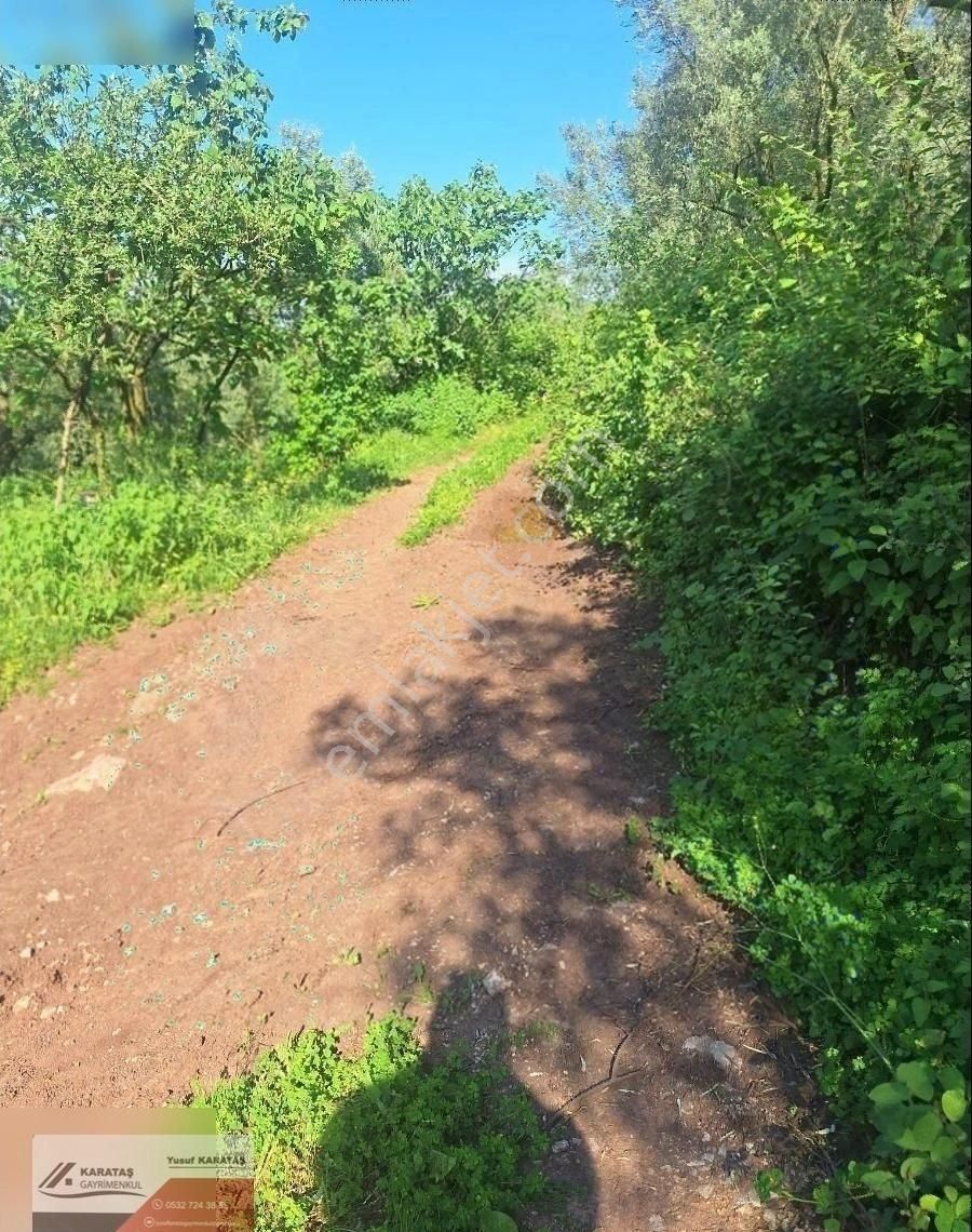Orhangazi Paşapınar Köyünde Göl Manzaralı Kupon Arazi - Görsel 3